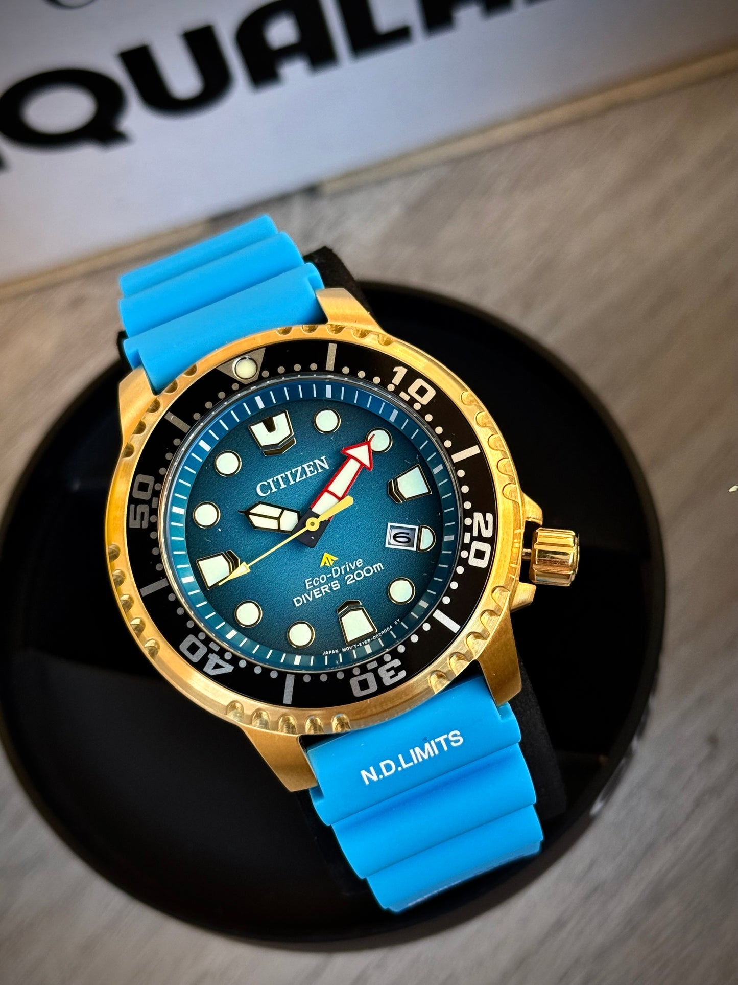 Citizen Promaster