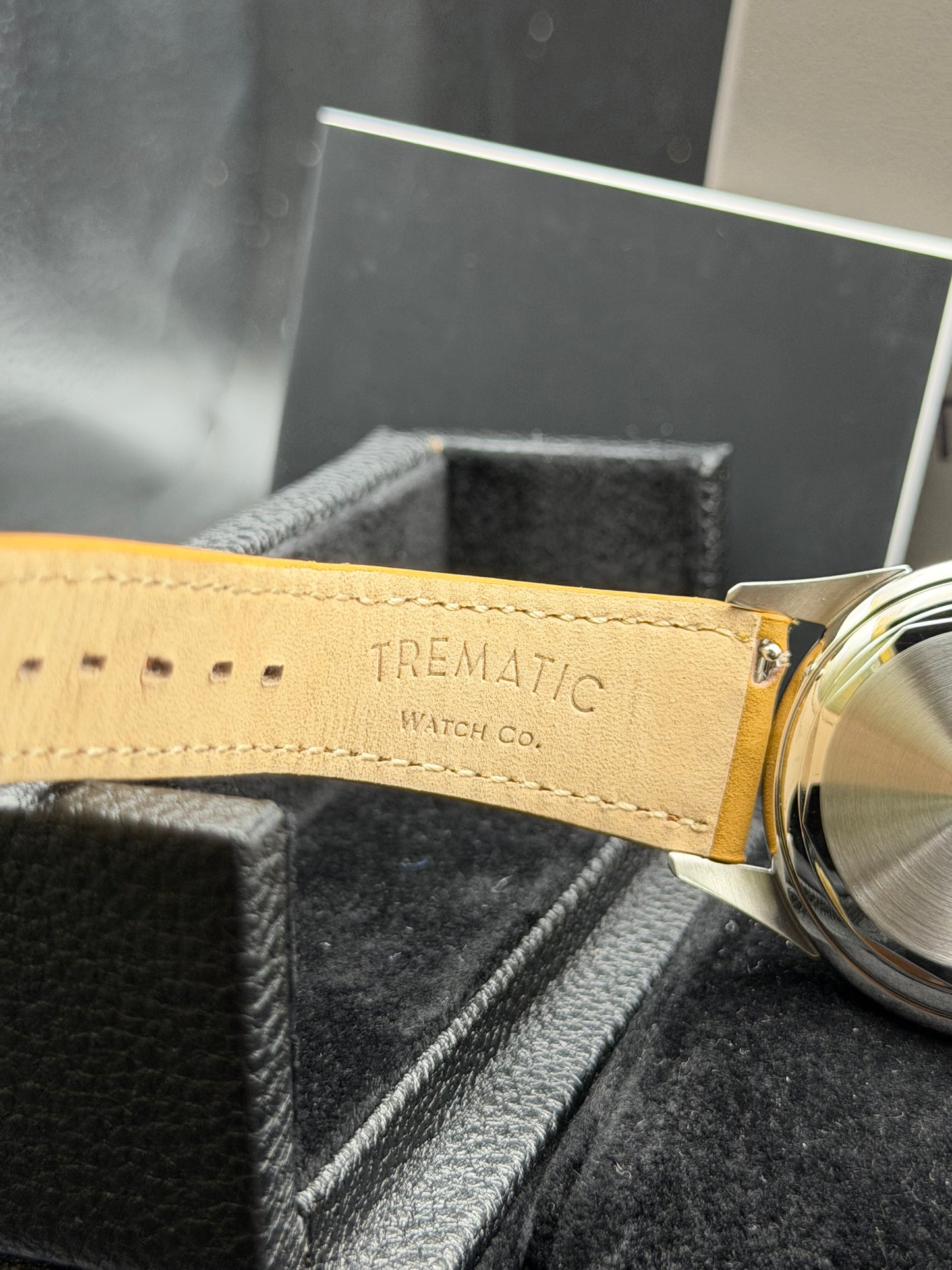 Trematic  502