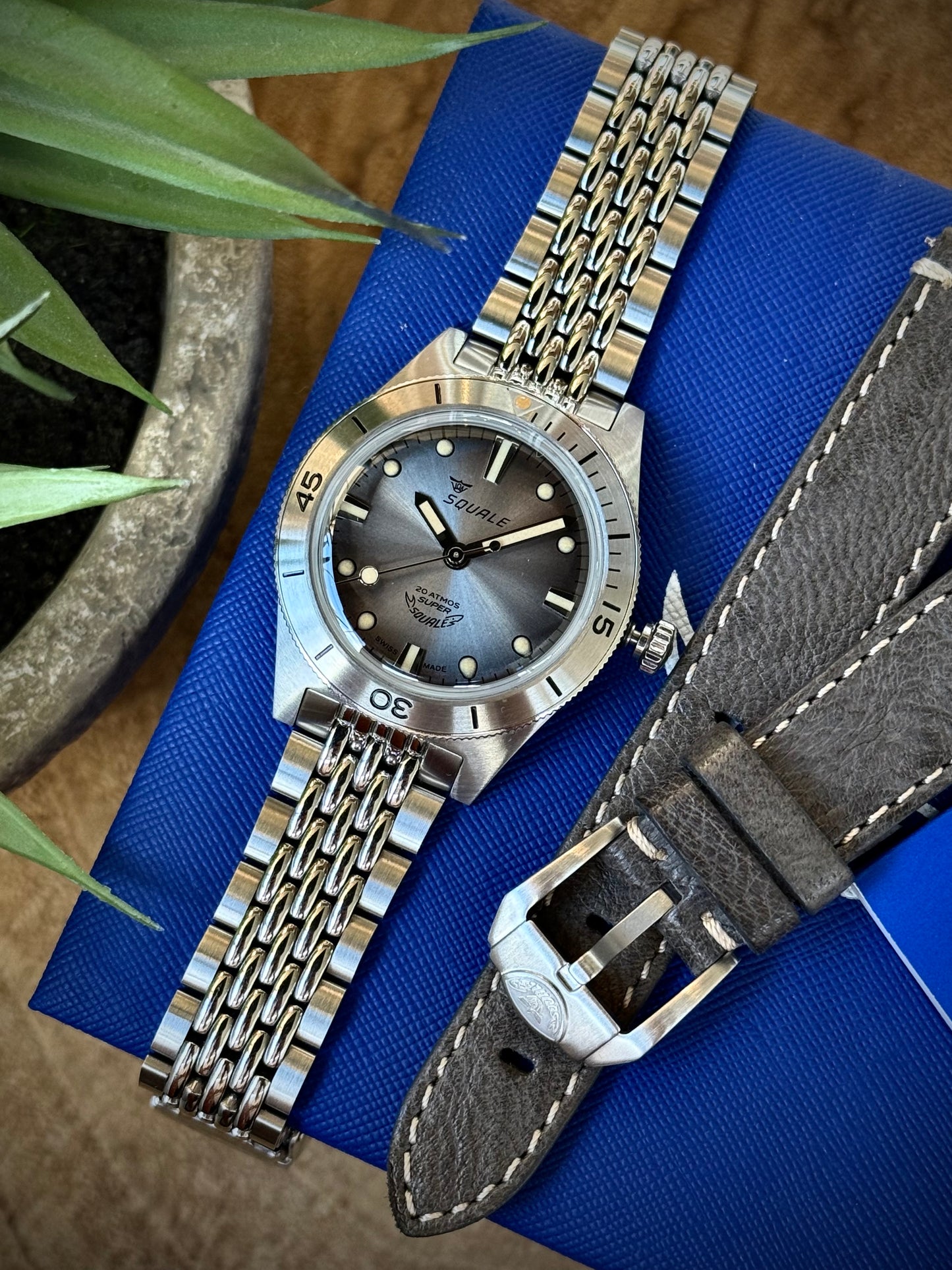 Super Squale Sunray