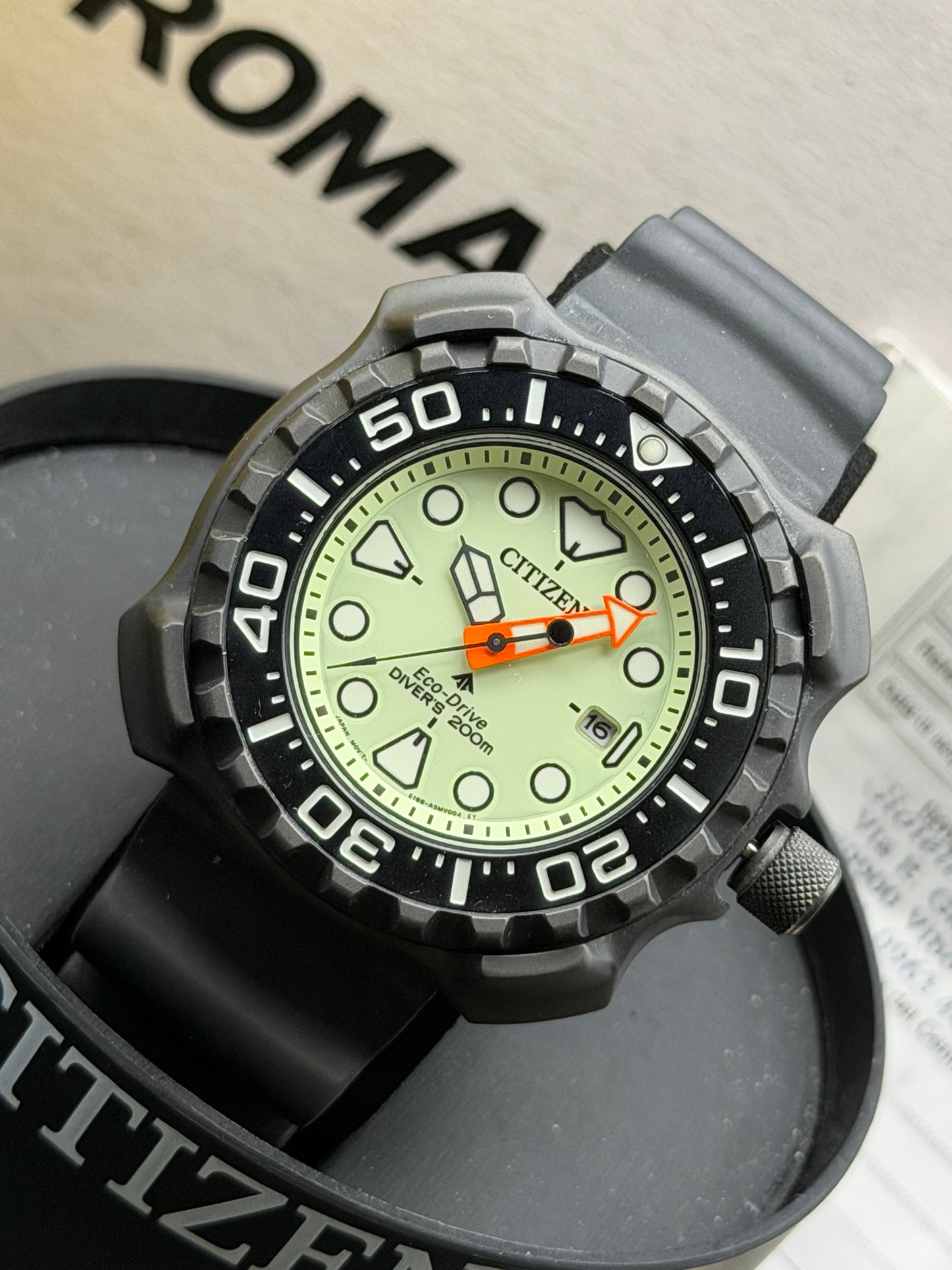 Citizen Promaster