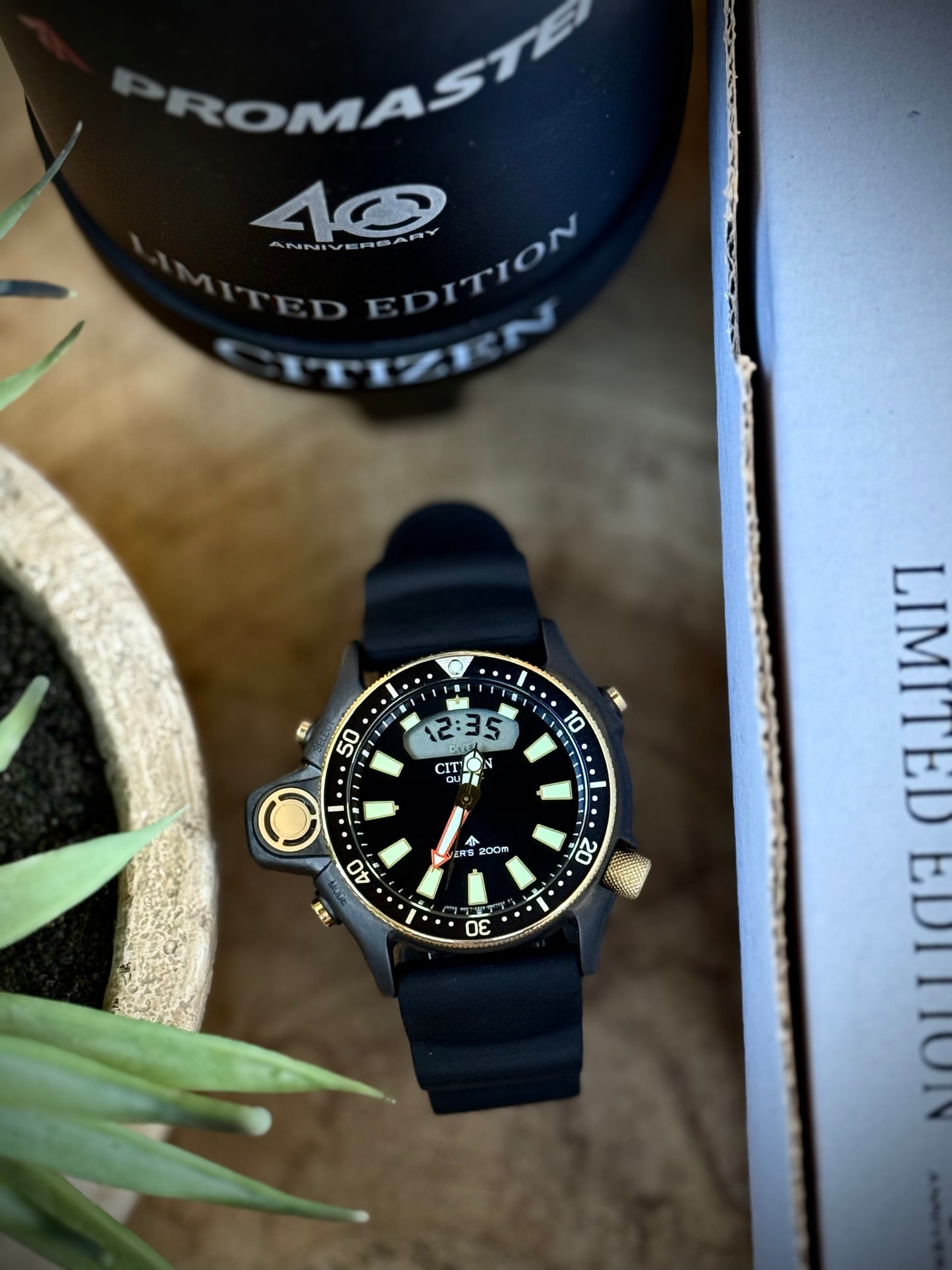 Citizen Aqualand 40th Anniversary
