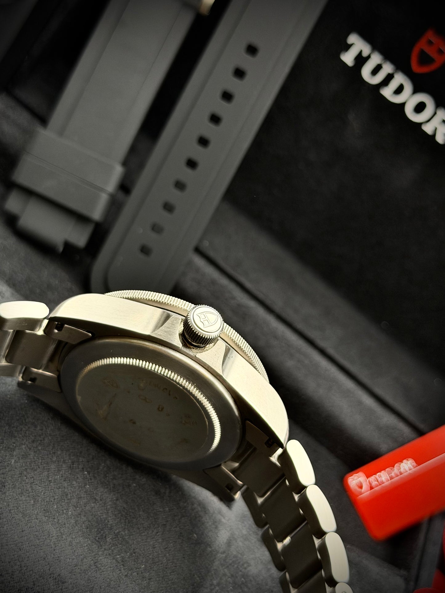 Tudor Pelagos 25500 TN