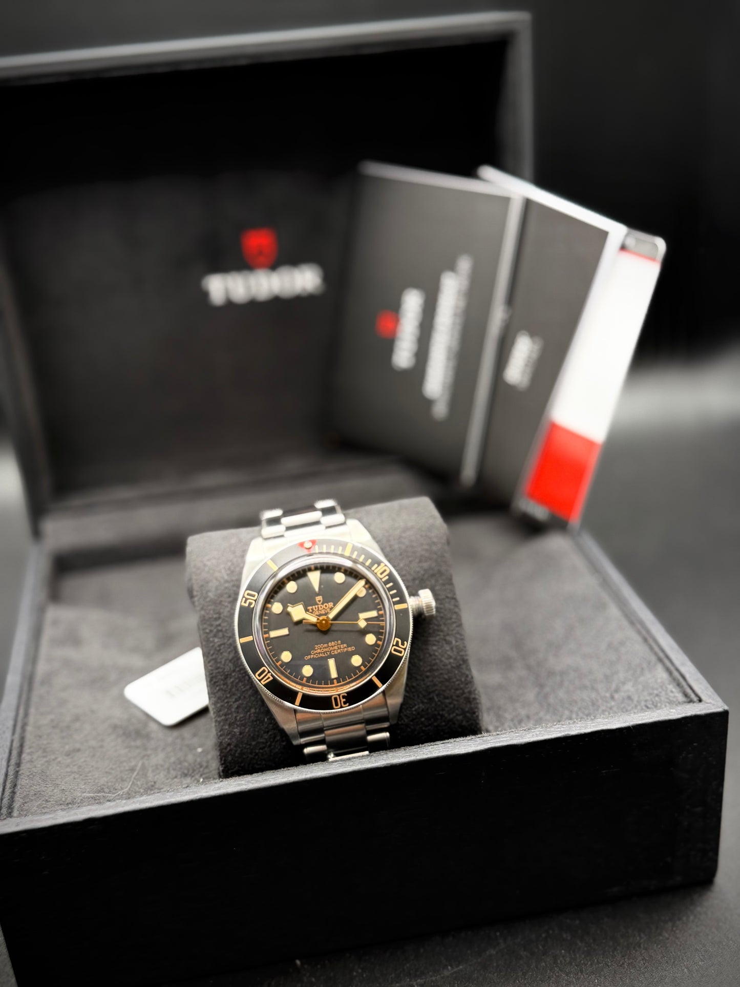Tudor black bay 58