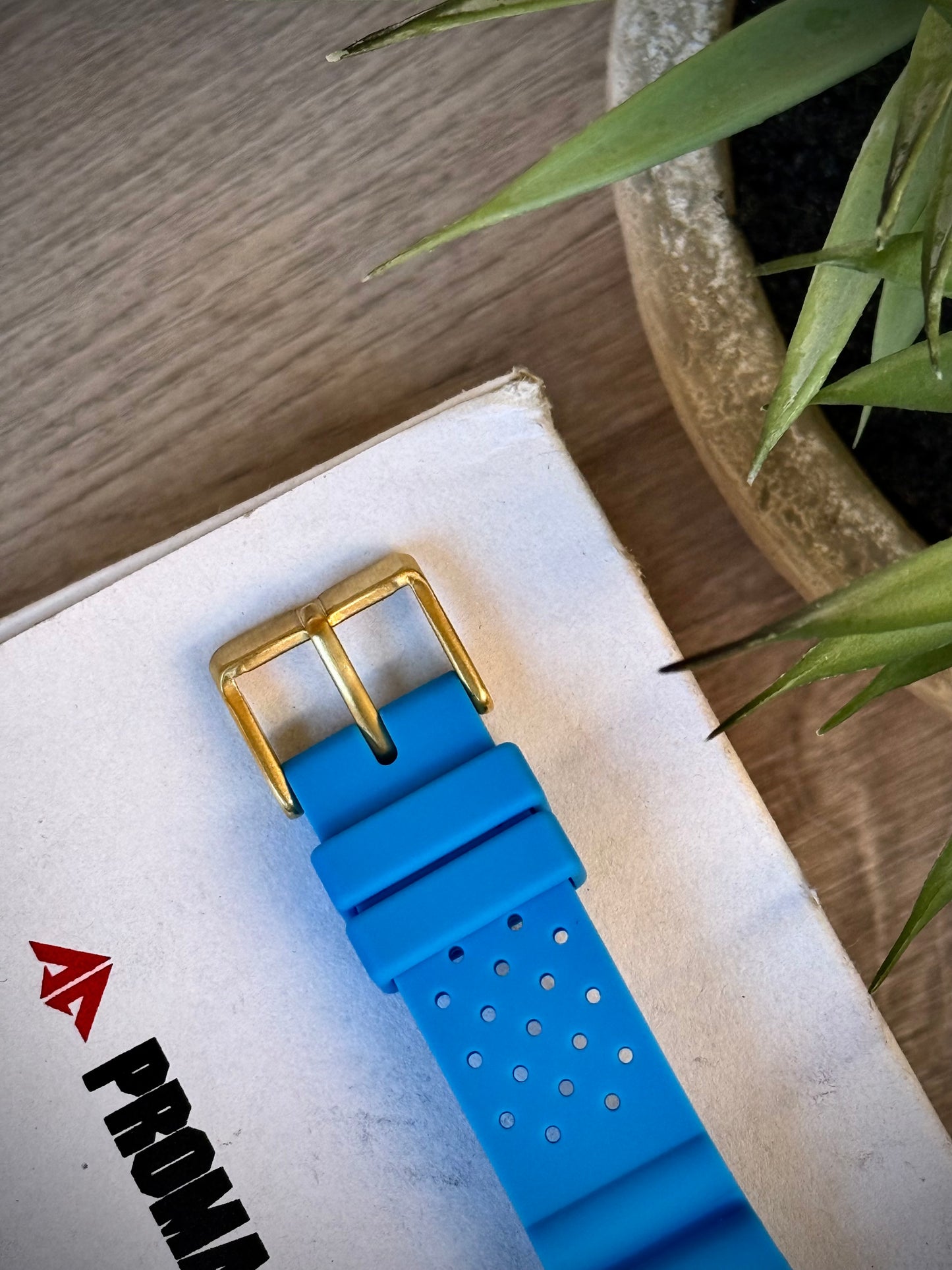 Citizen Promaster