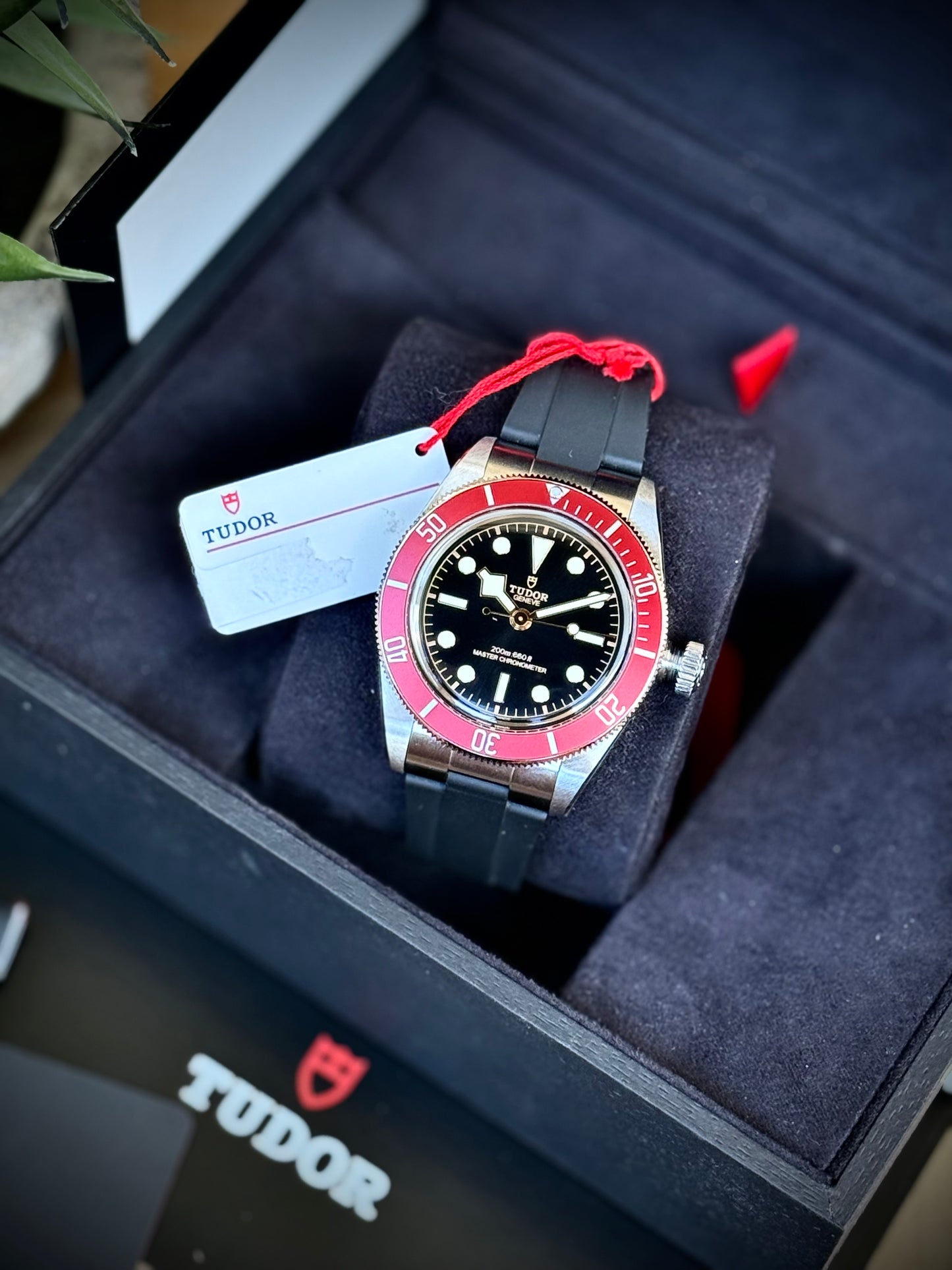 Saldo con permute Tudor Black Bay
