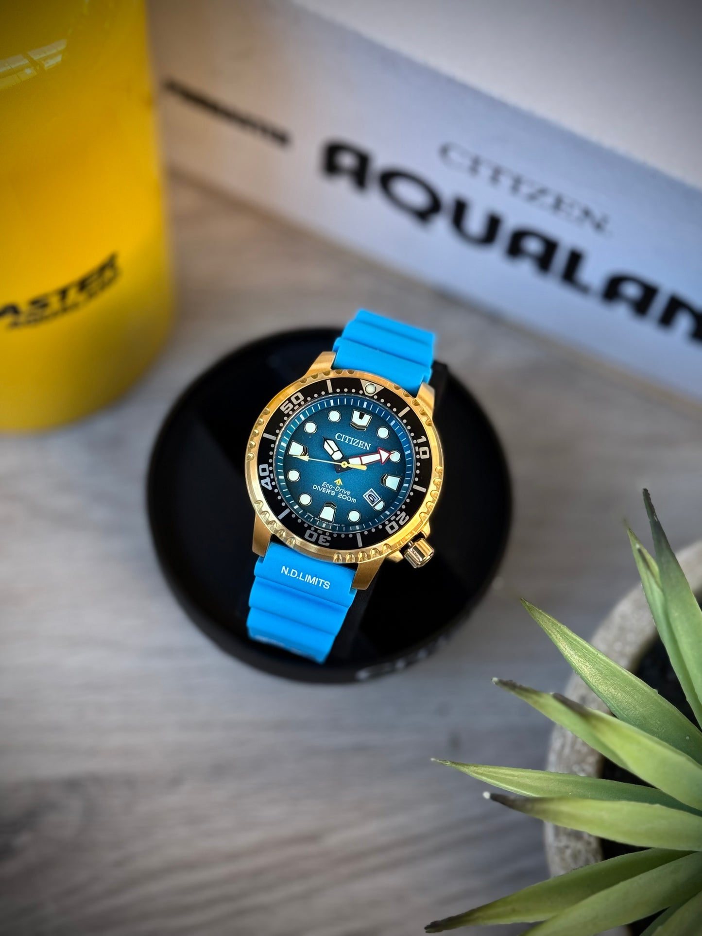 Citizen Promaster