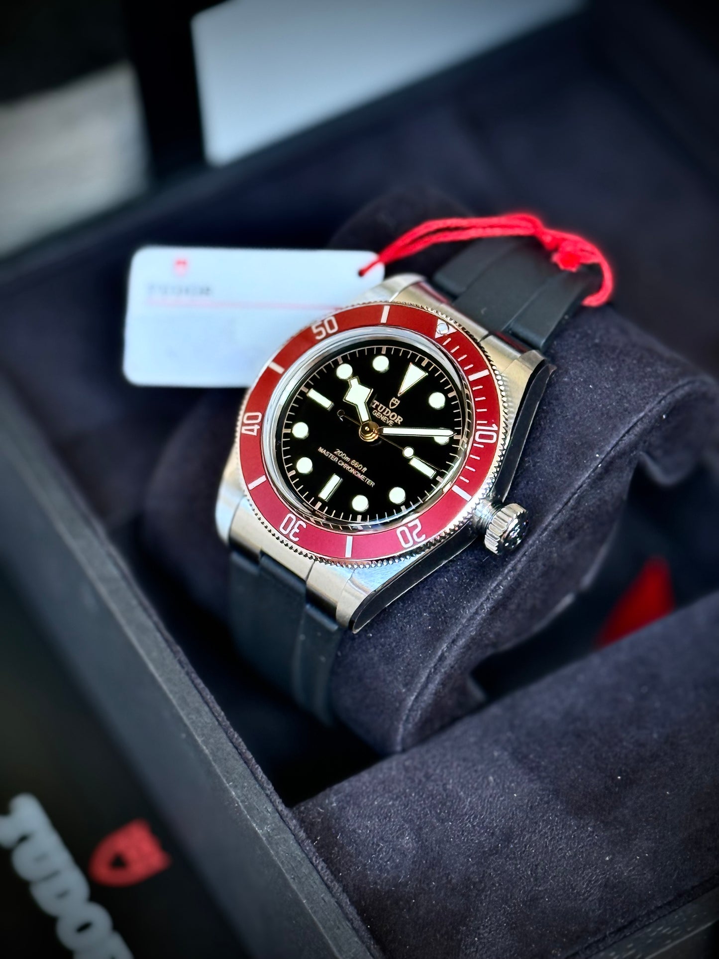 Saldo con permute Tudor Black Bay