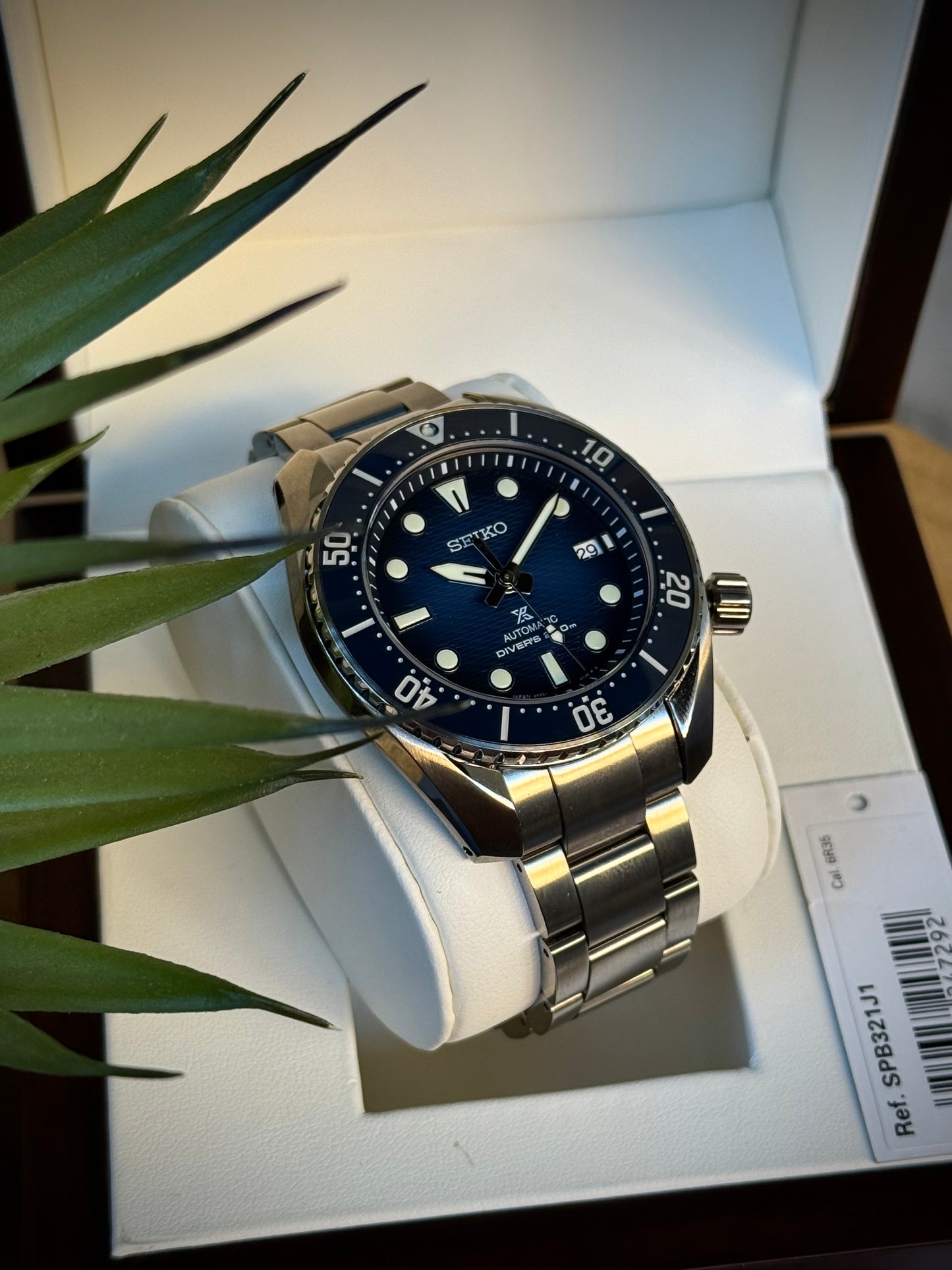 Seiko King Sumo