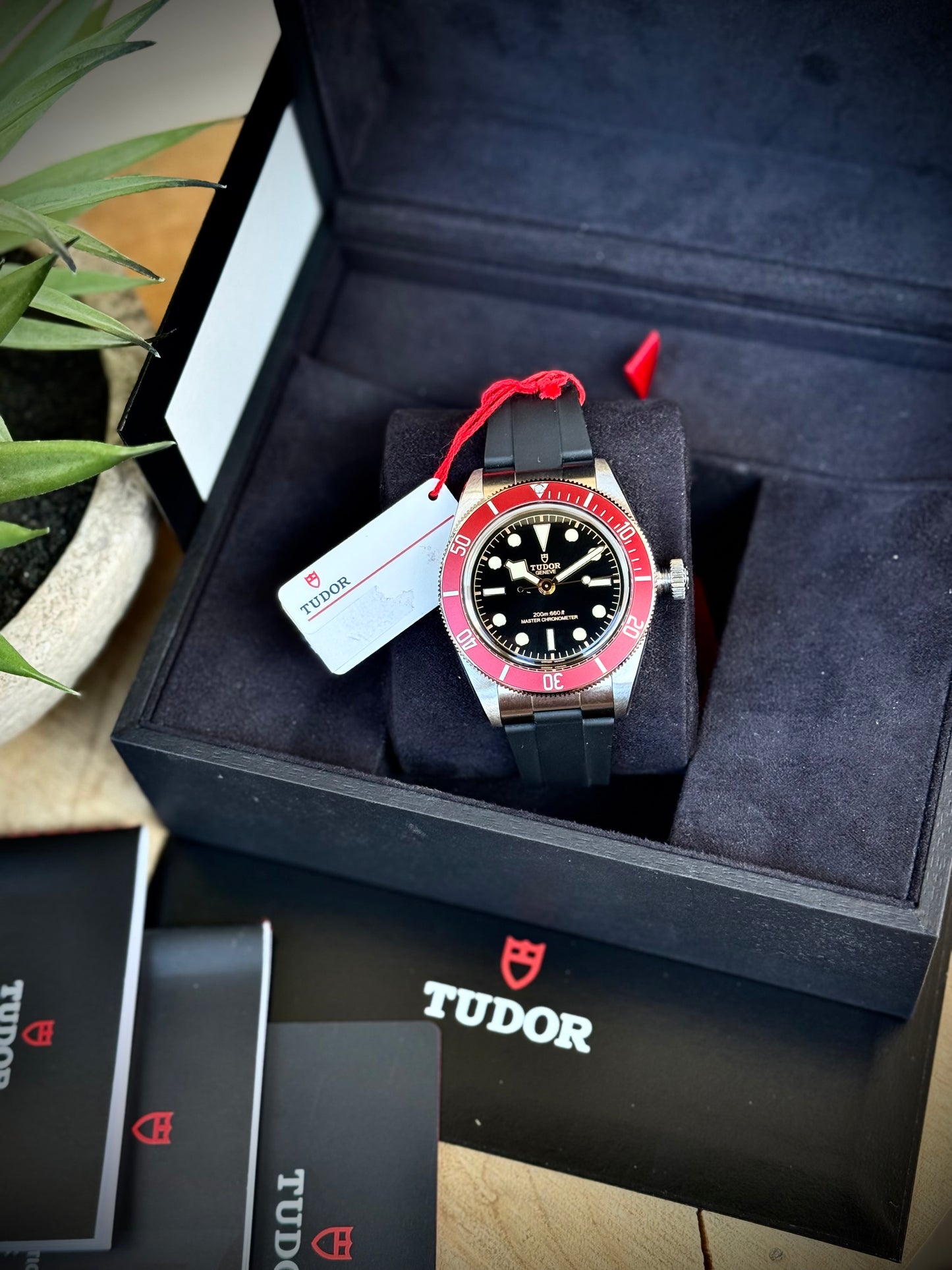 Saldo con permute Tudor Black Bay
