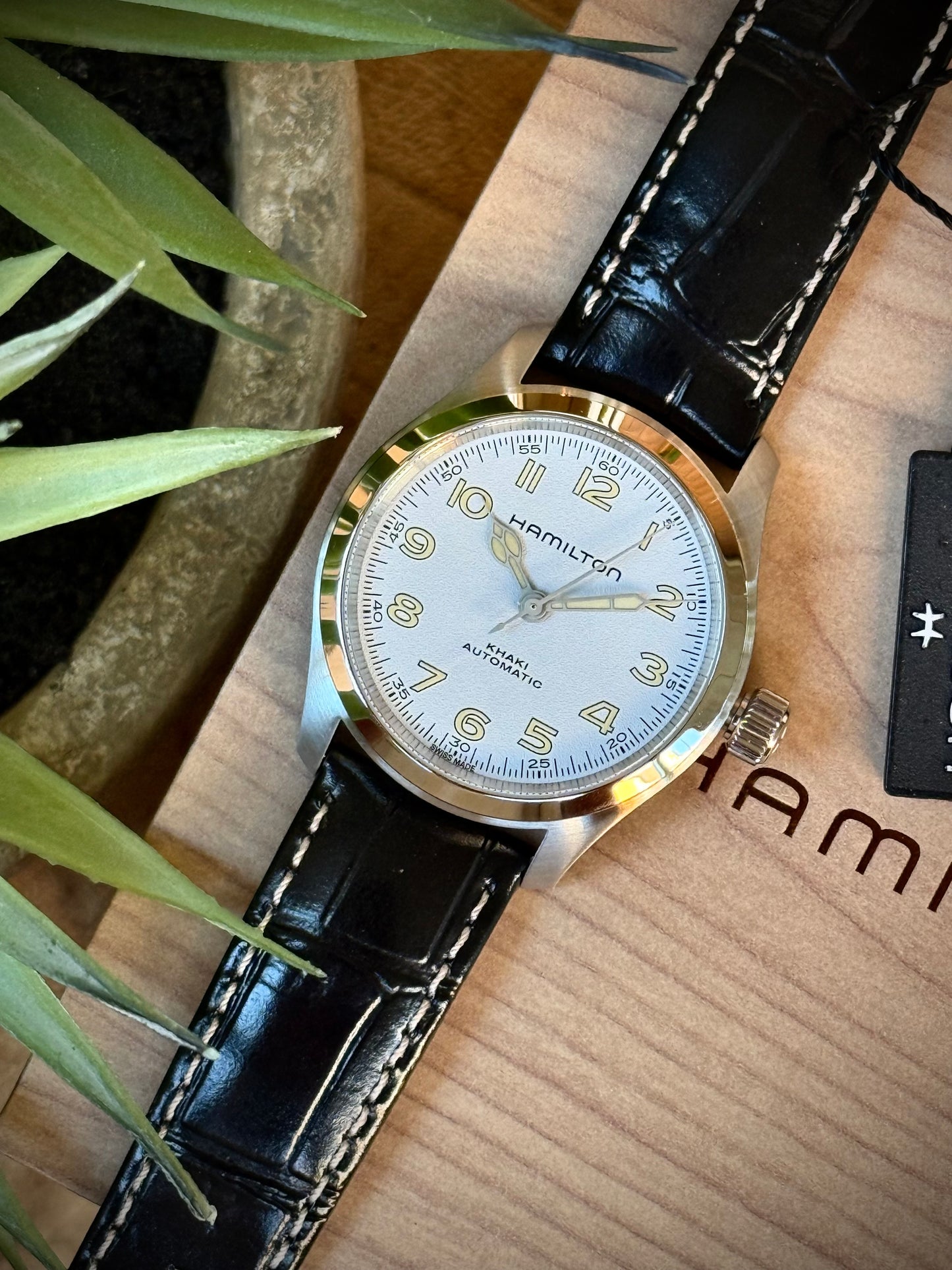 Hamilton Murph White 38mm