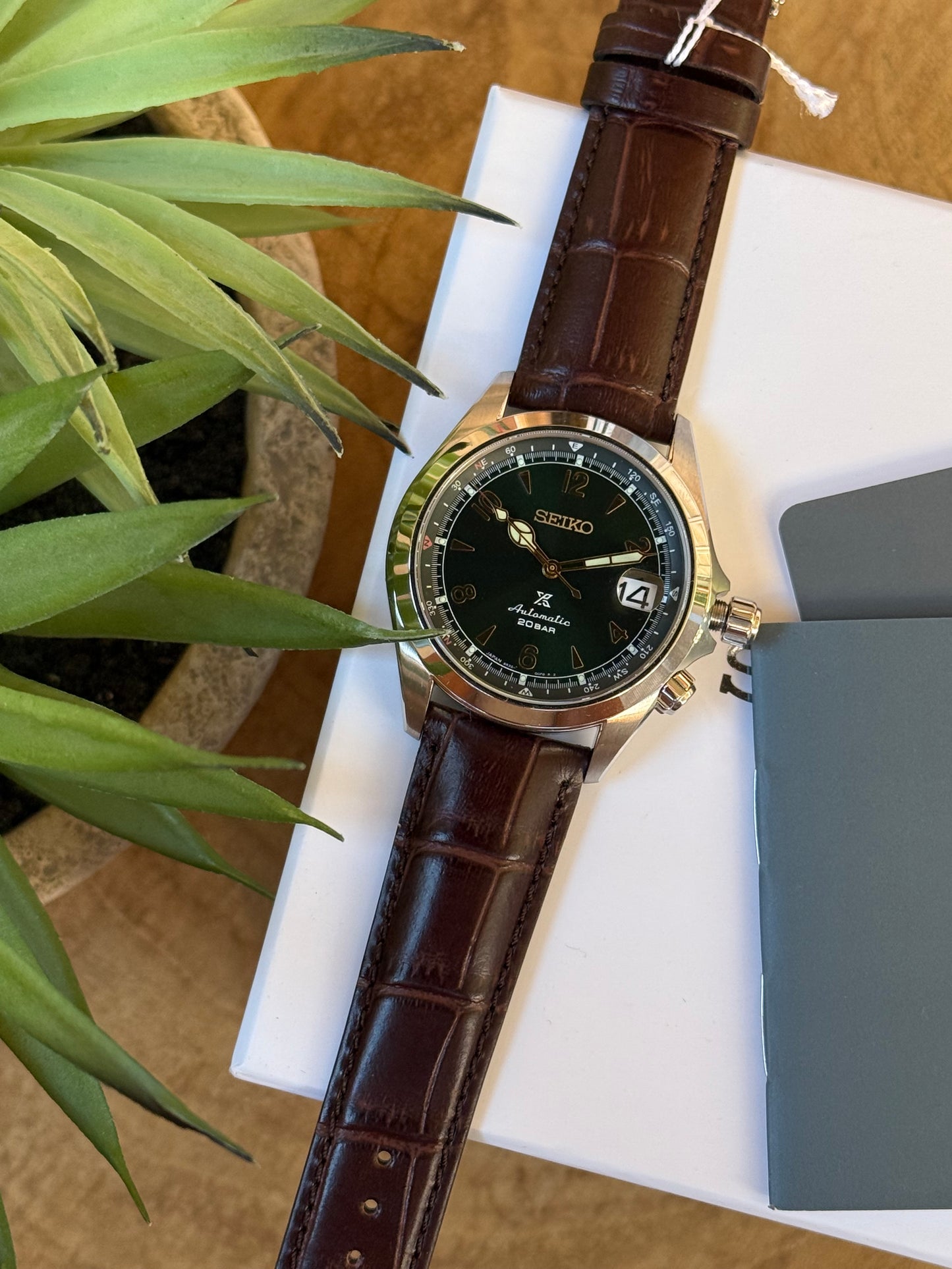 Seiko Alpinist