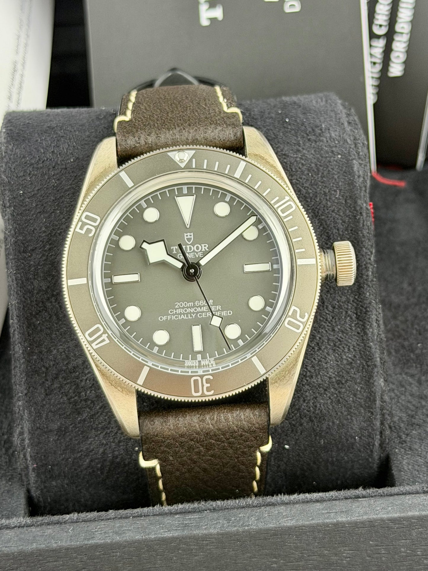 Tudor Black Bay 58 “925”