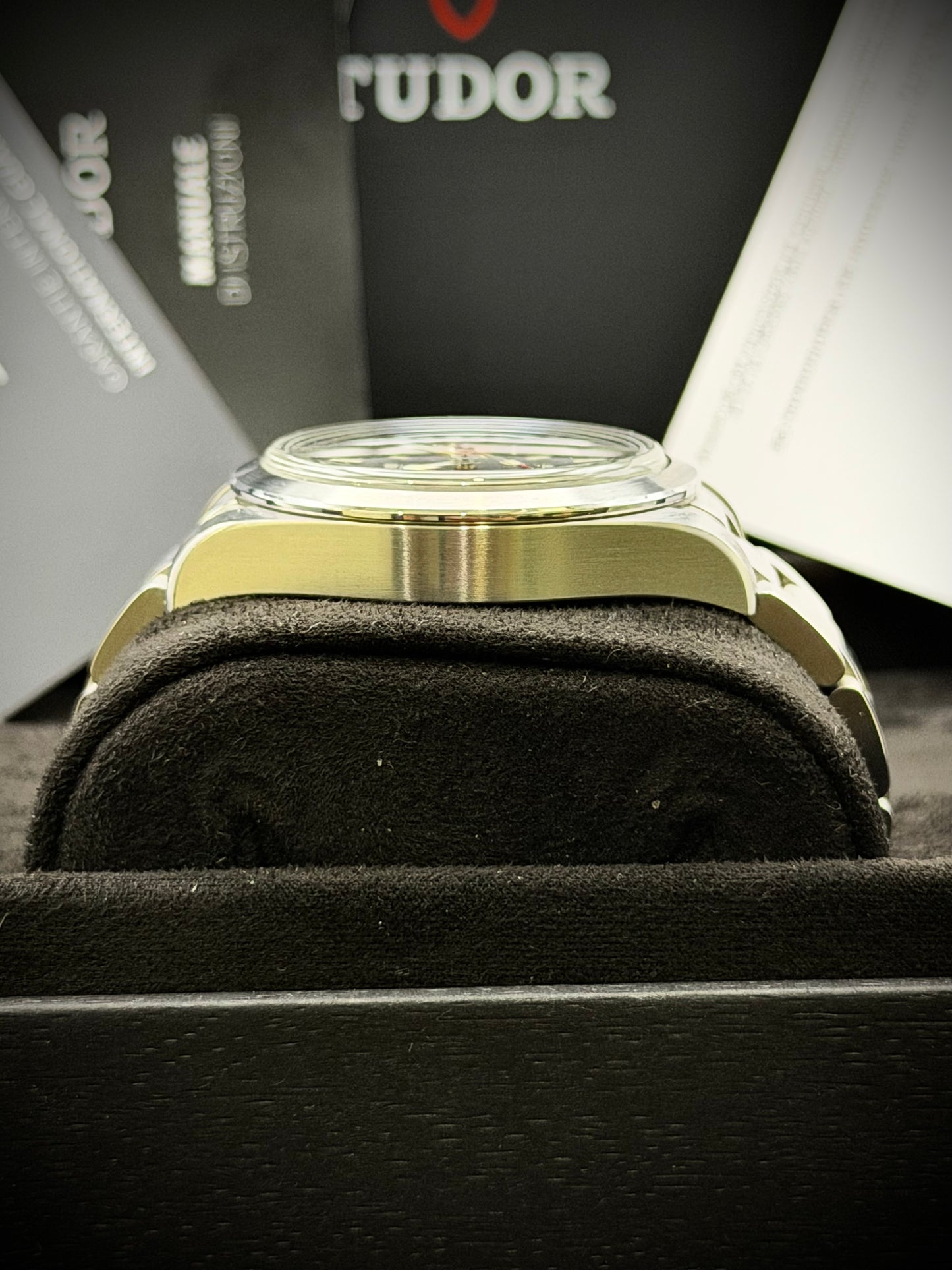 Tudor Ranger