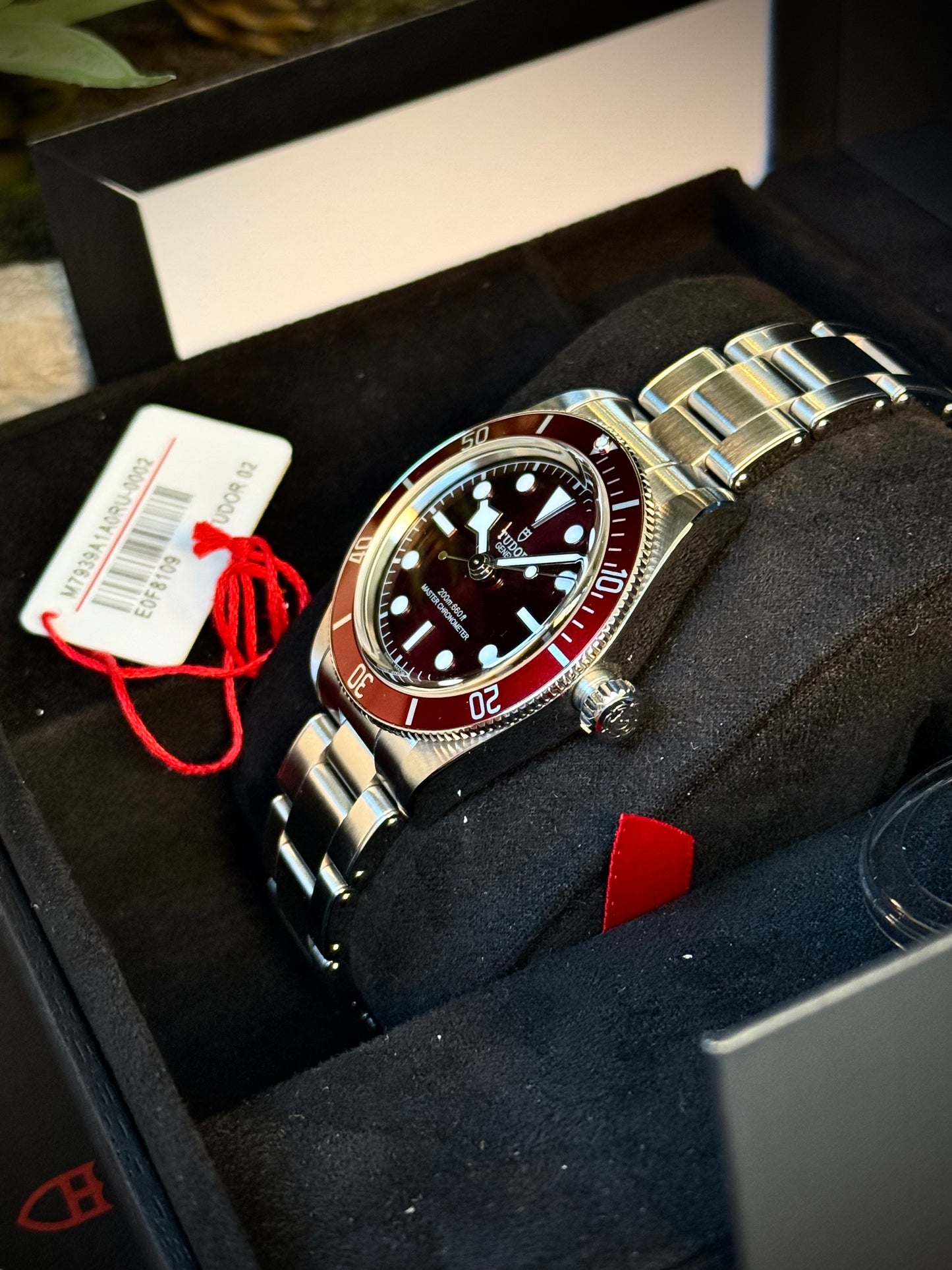 Tudor Black Bay 58 Burgundi