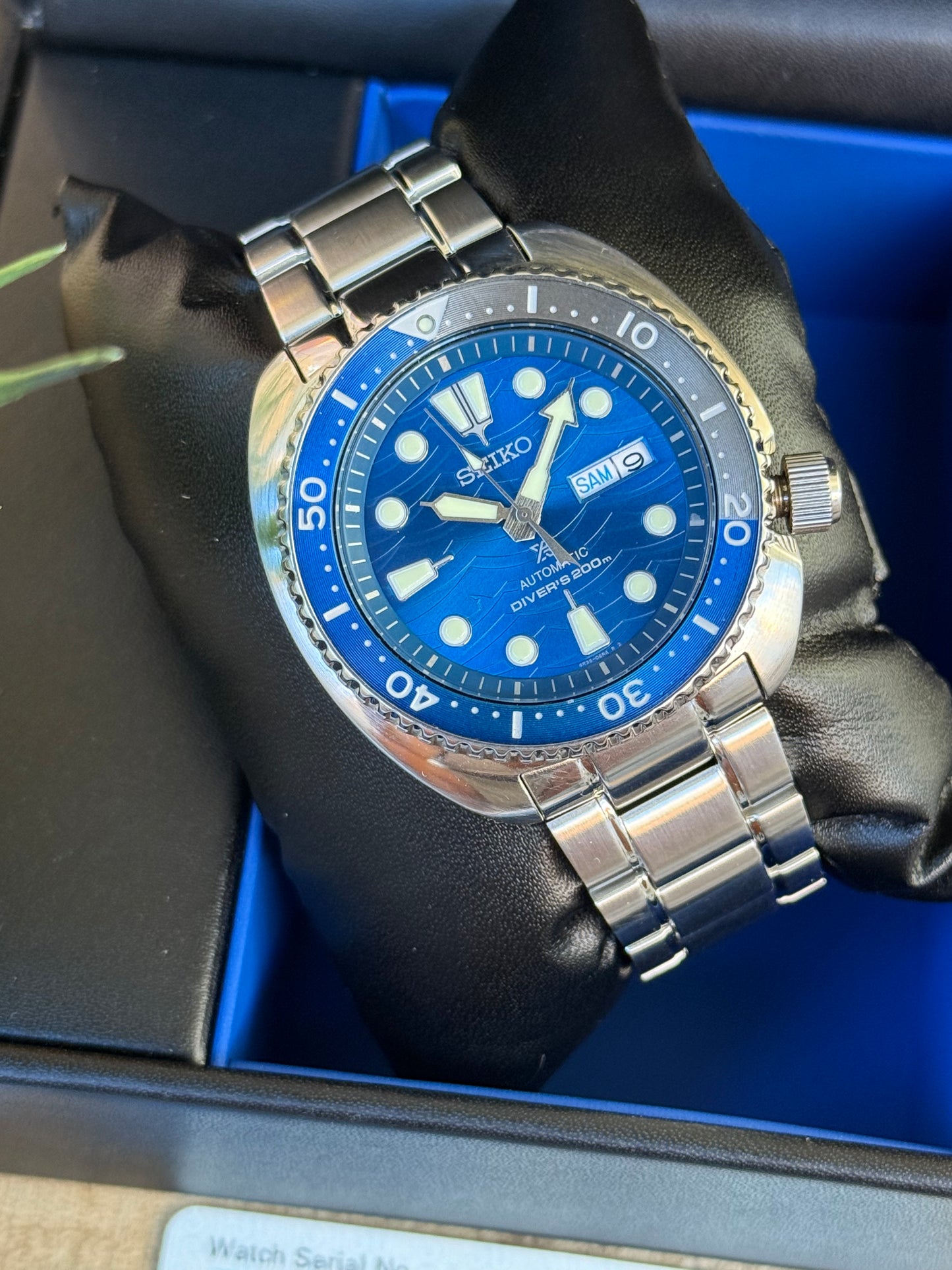 Seiko Turtle