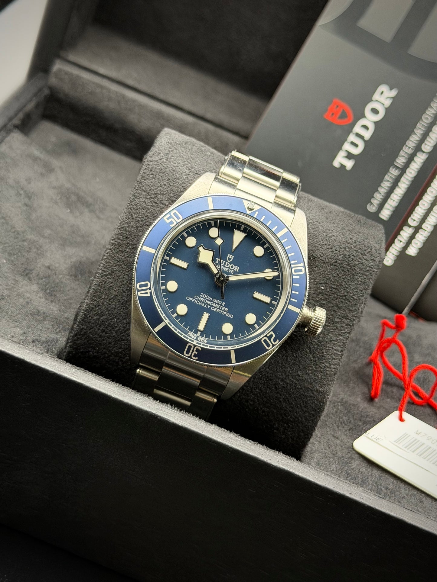 Tudor Black Bay 58 Ref. 79030B