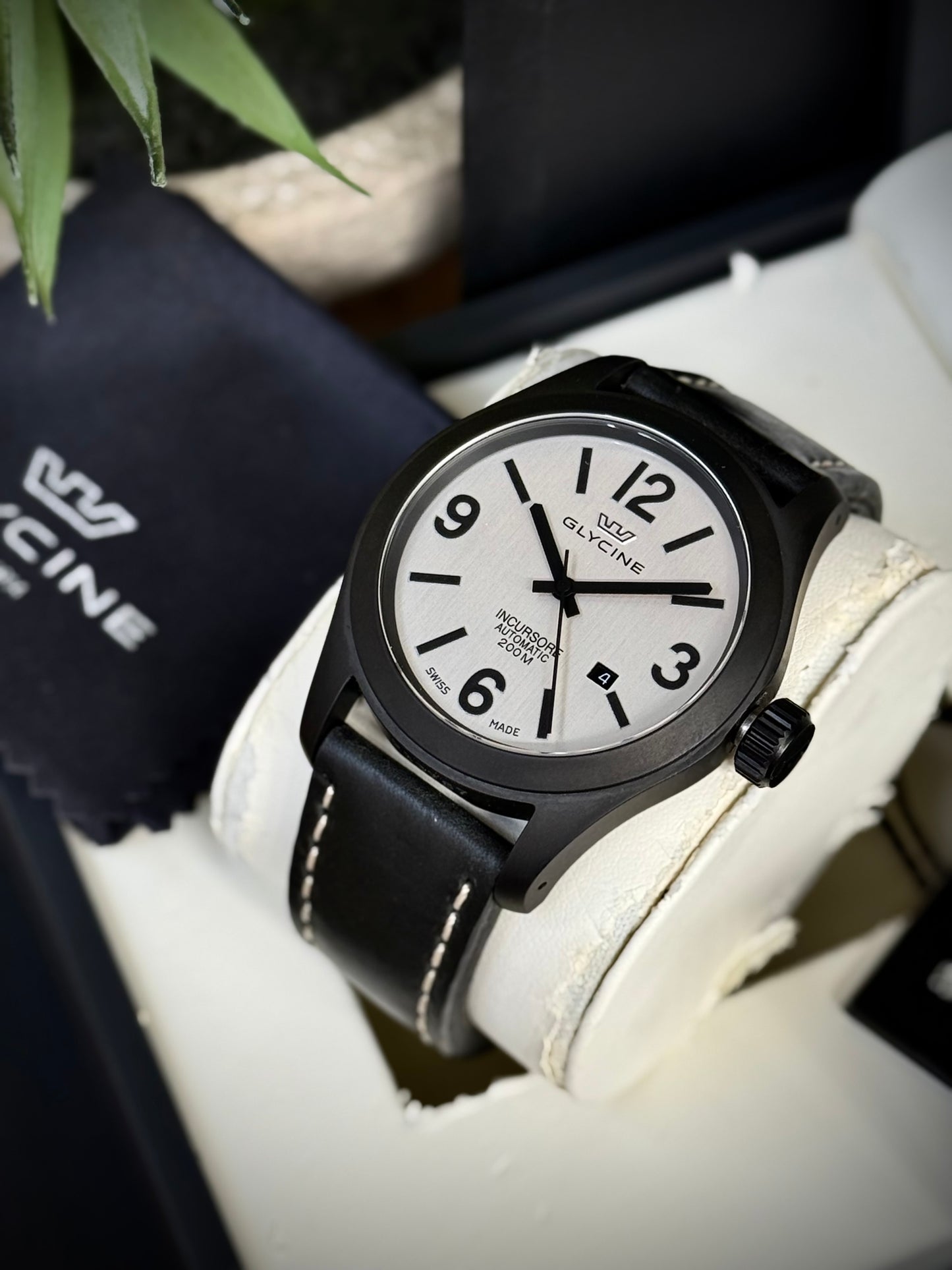 Glycine Incursore PVD