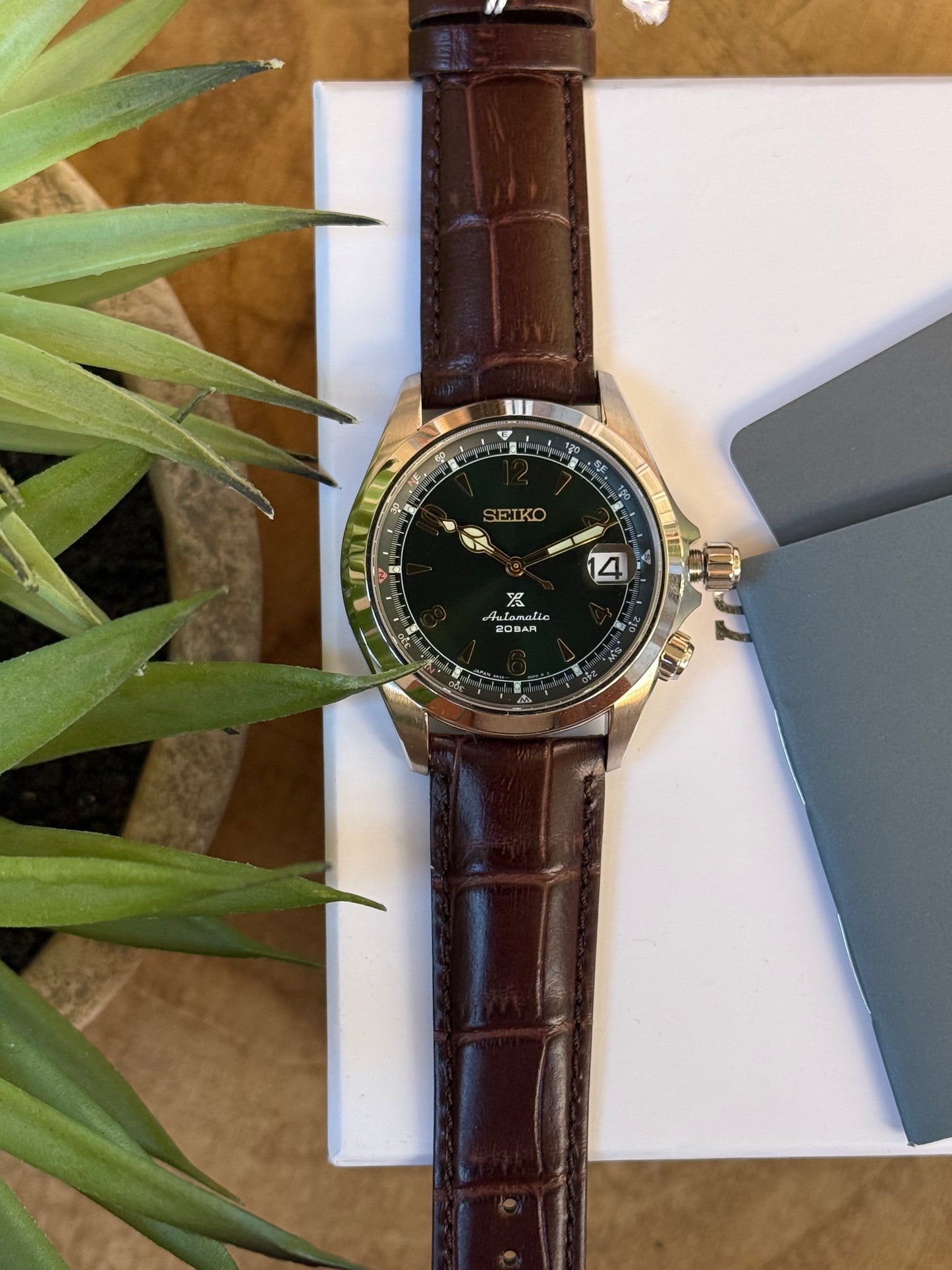 Seiko Alpinist