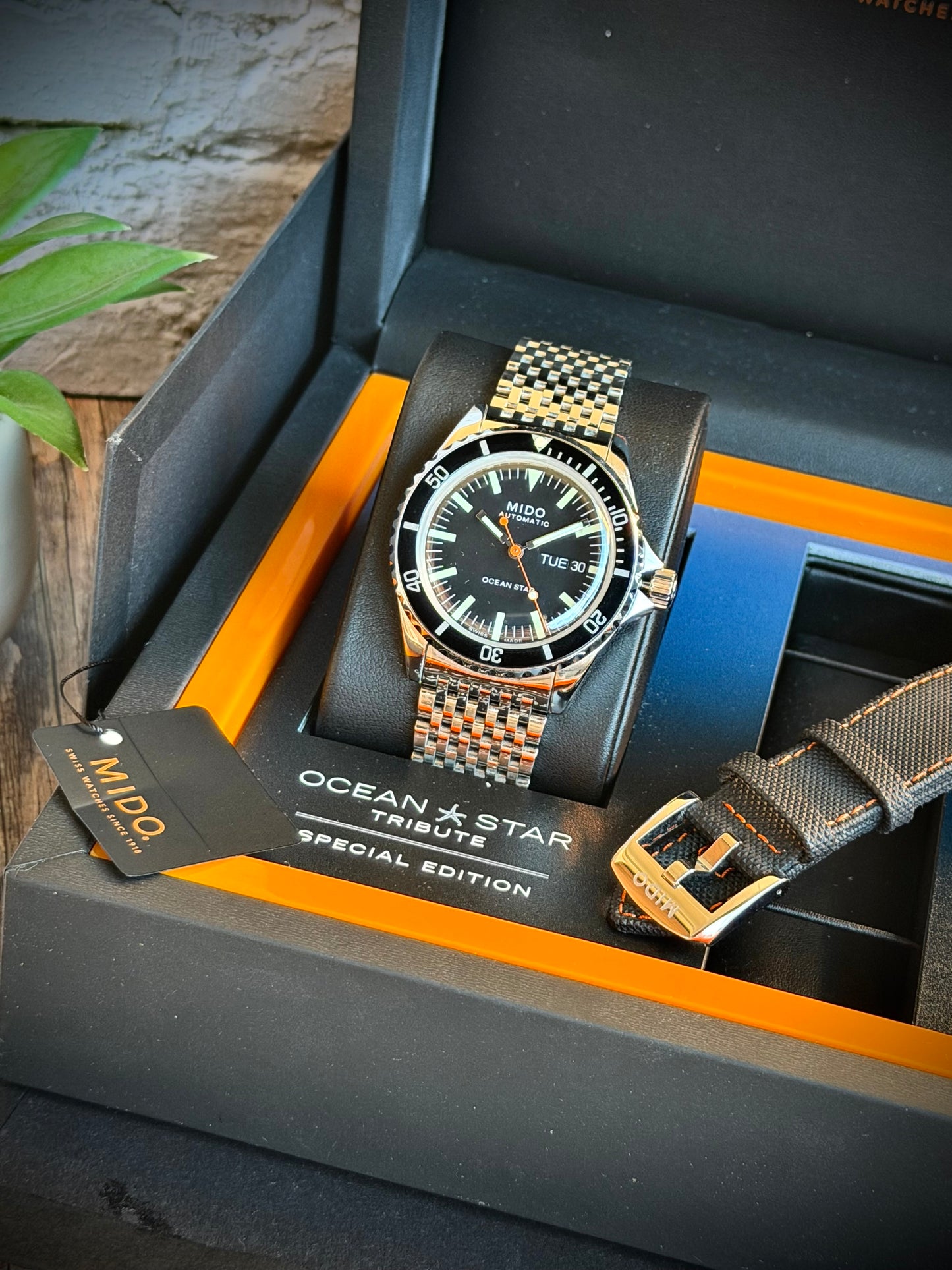 Mido Ocean Star Tribute