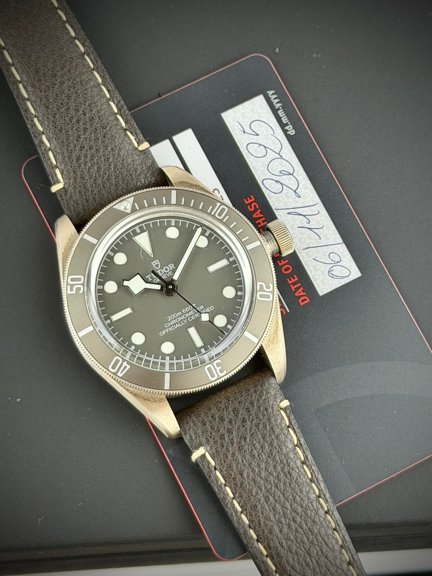 Tudor Black Bay 58 “925”