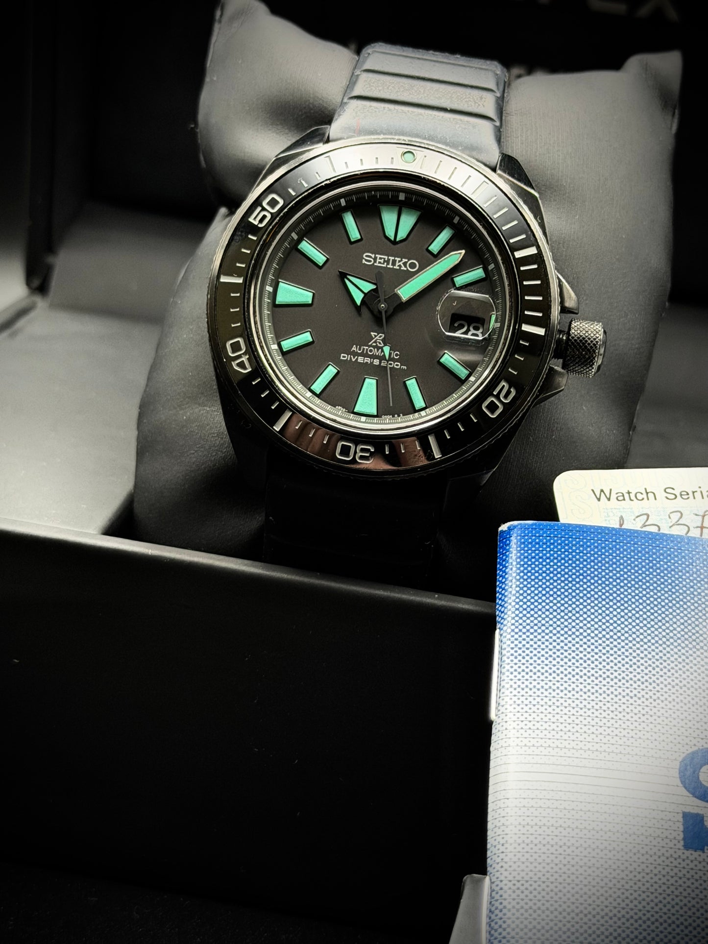 Seiko Night Vision