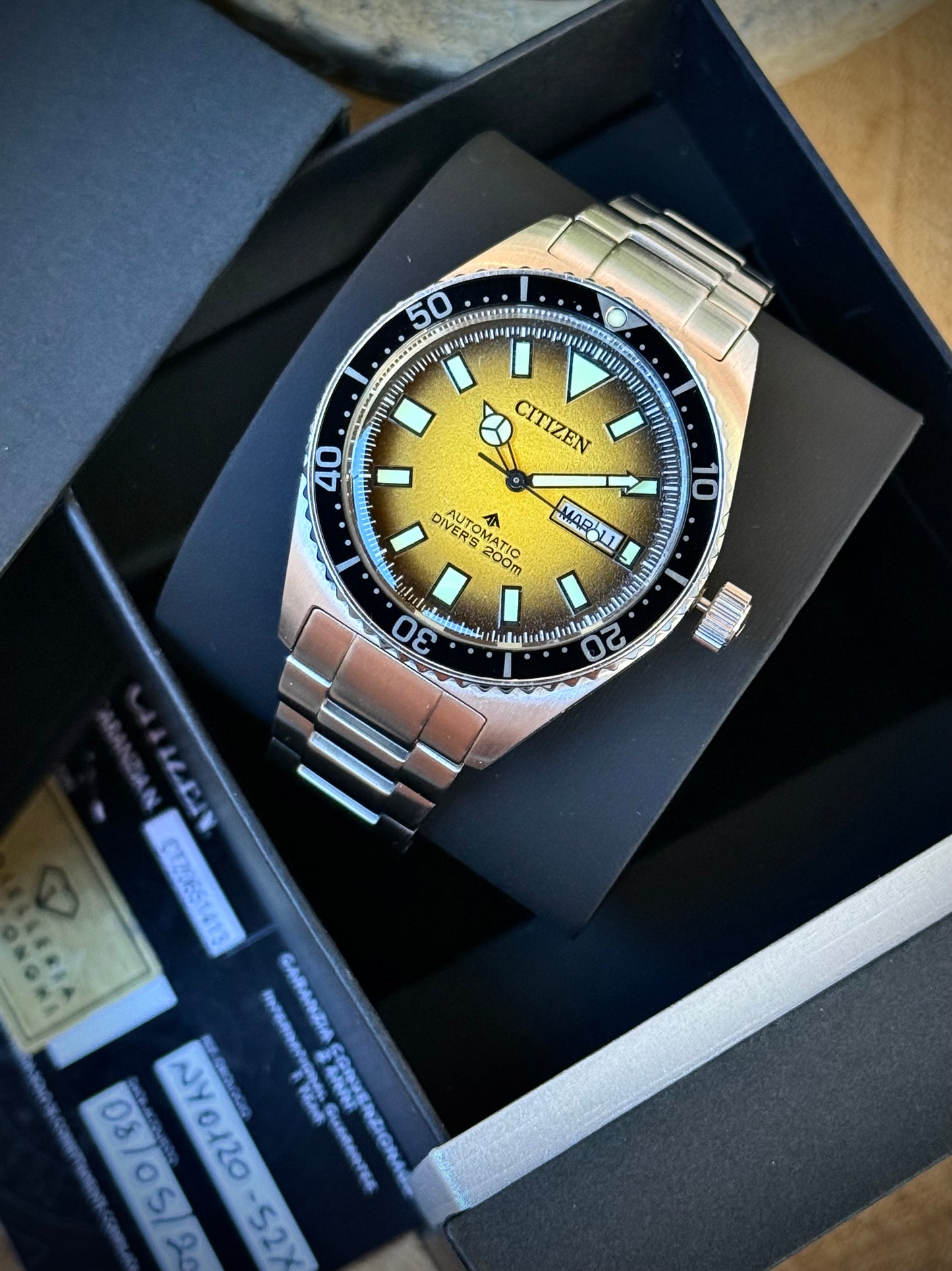 Citizen Promaster