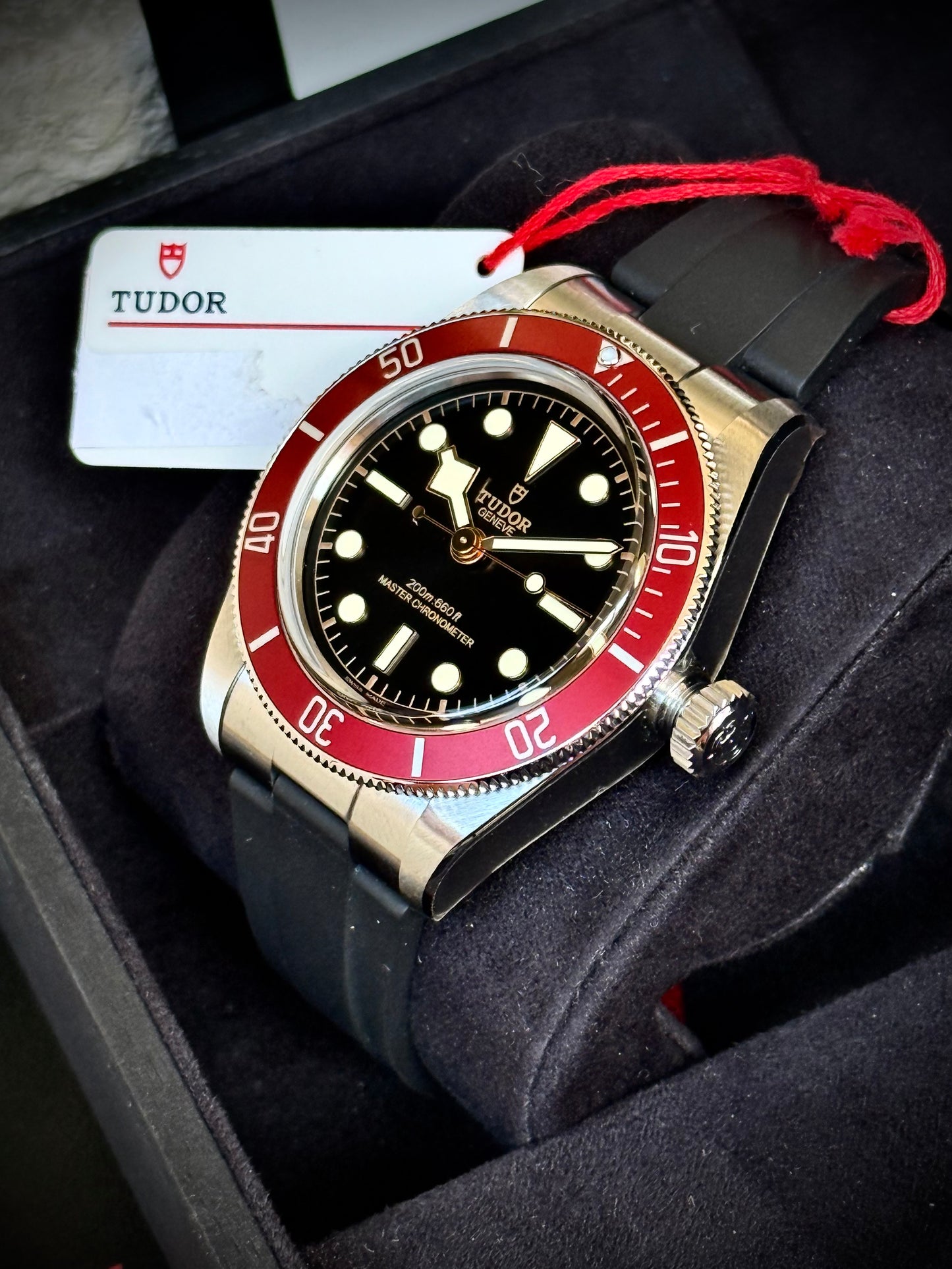 Saldo con permute Tudor Black Bay
