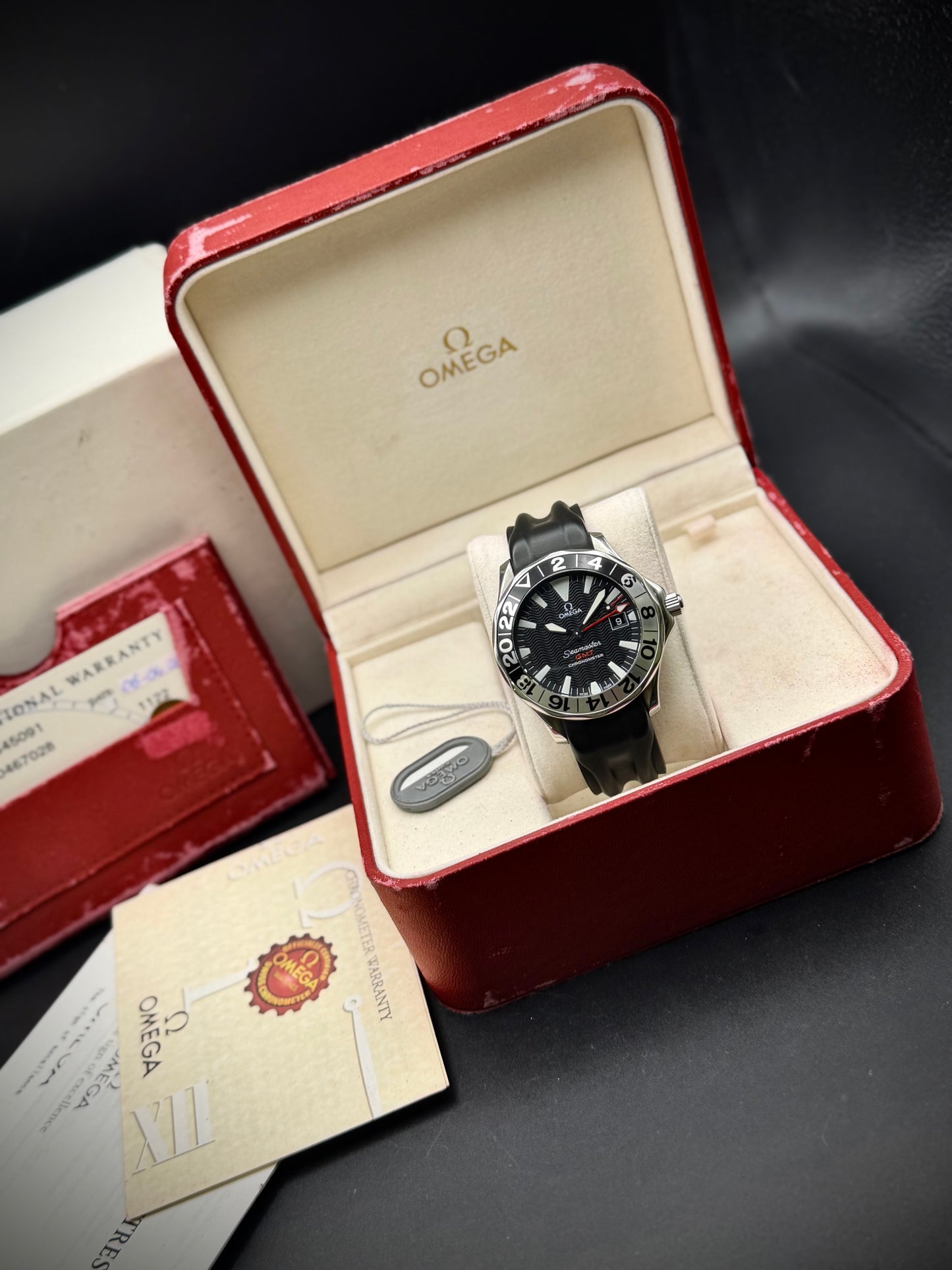Omega Seamaster GMT