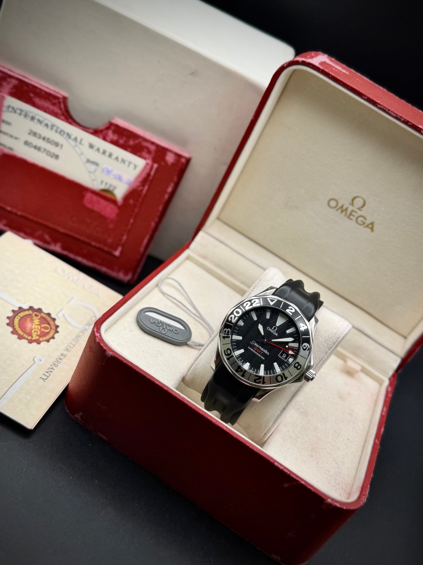 Omega Seamaster GMT