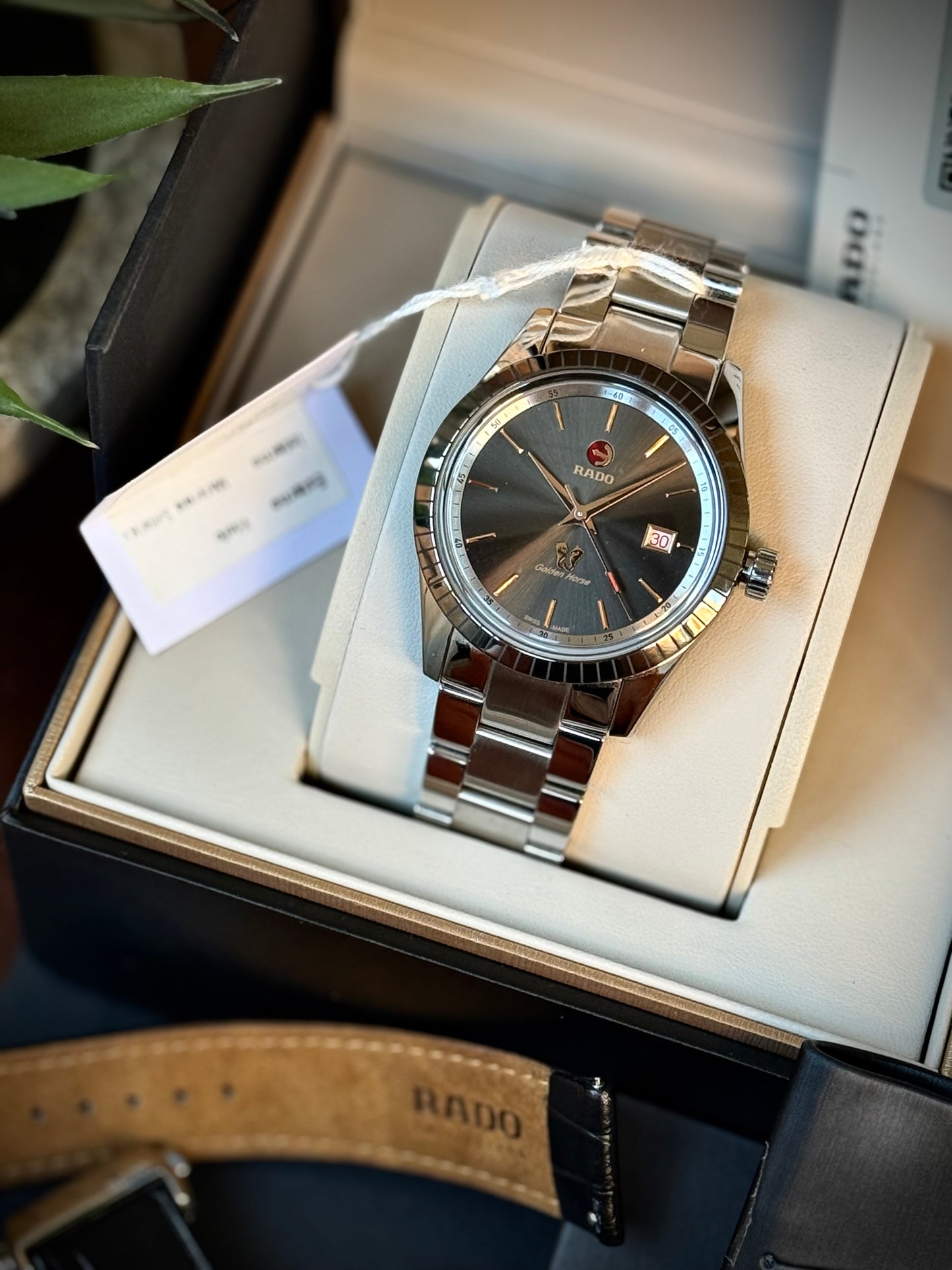 Rado Golden Horse