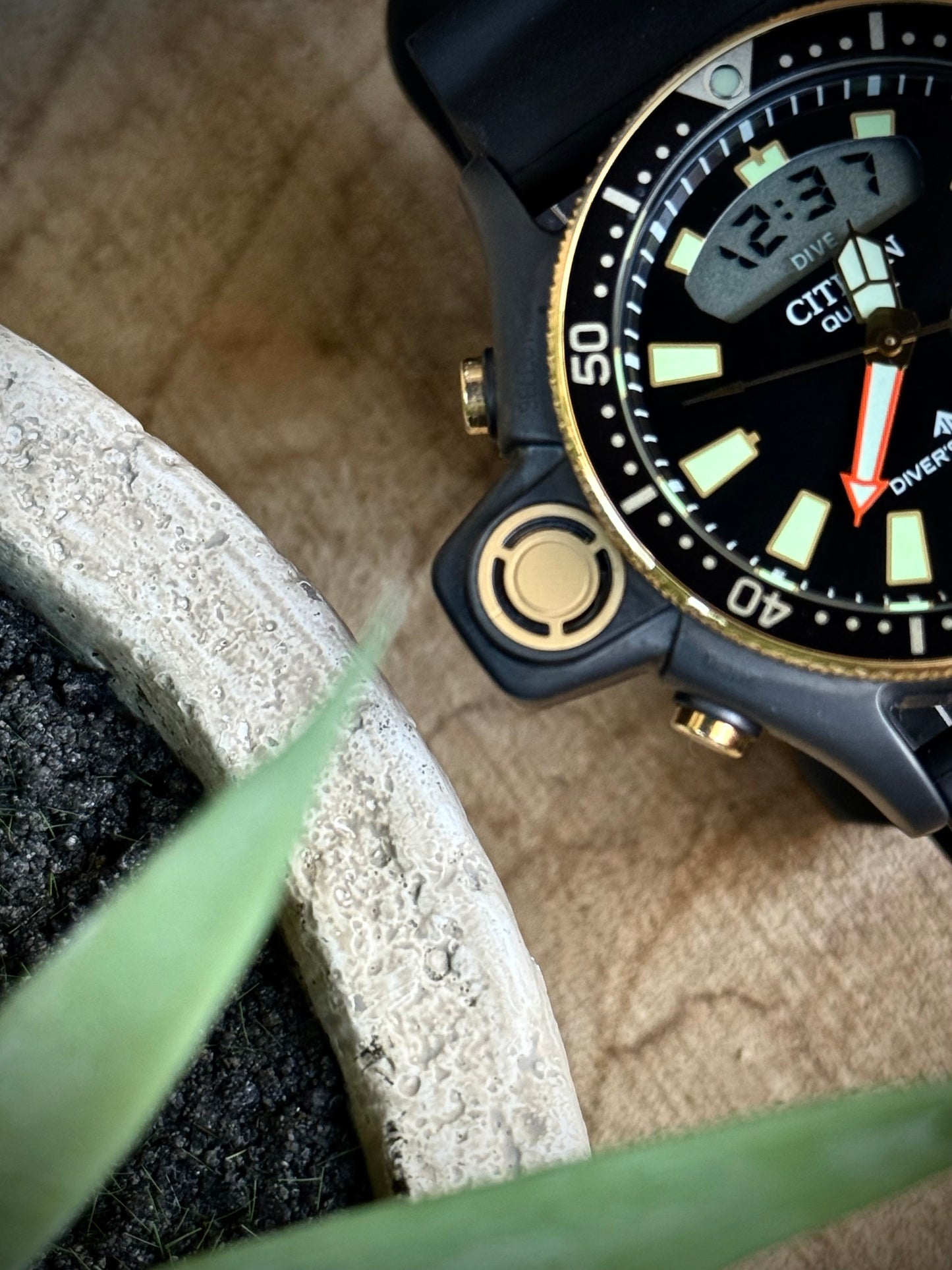 Citizen Aqualand 40th Anniversary