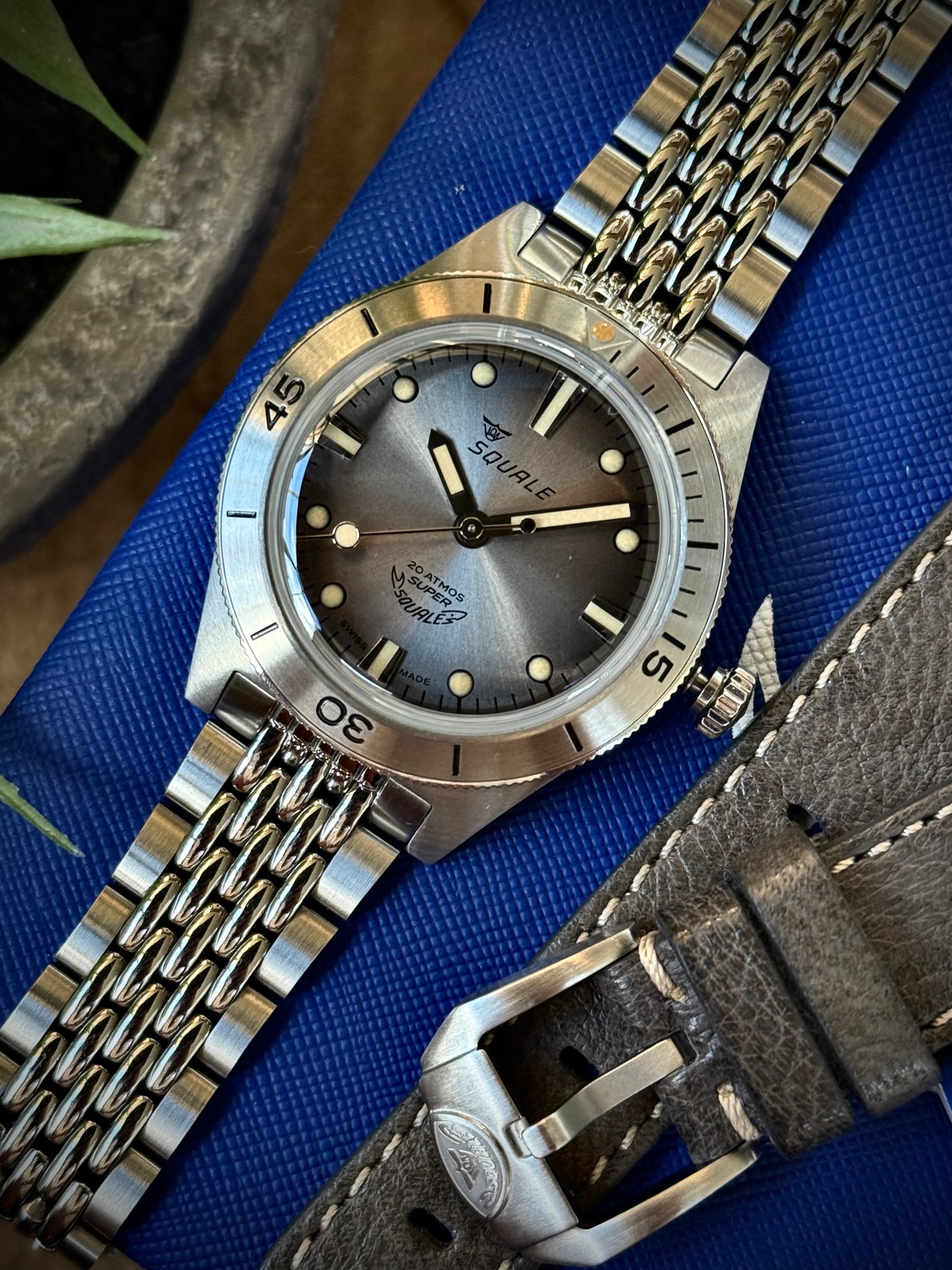 Super Squale Sunray