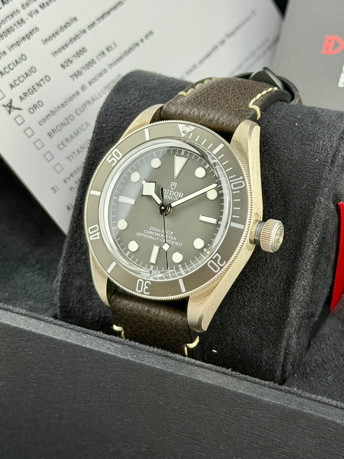 Tudor Black Bay 58 “925”