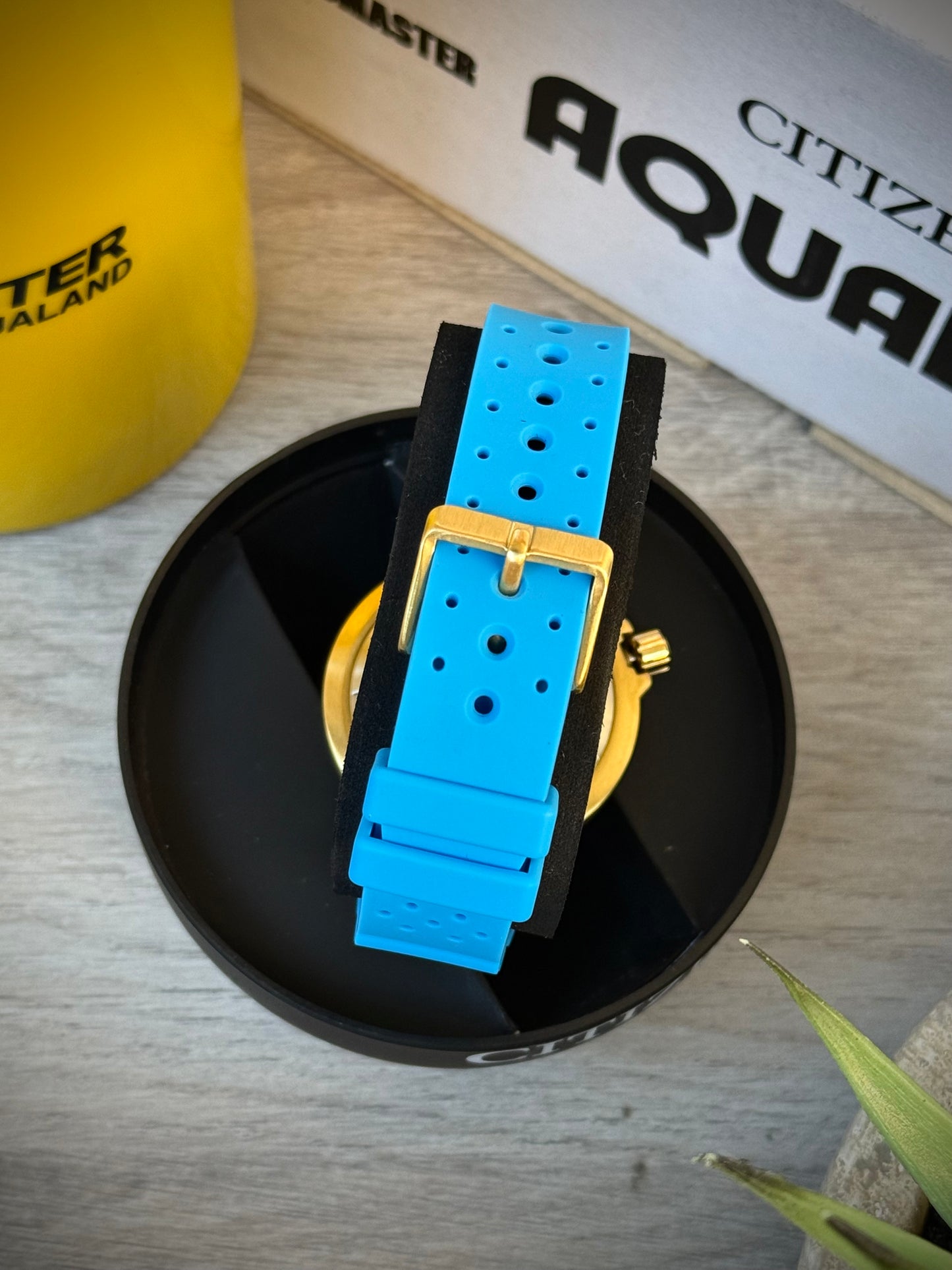 Citizen Promaster