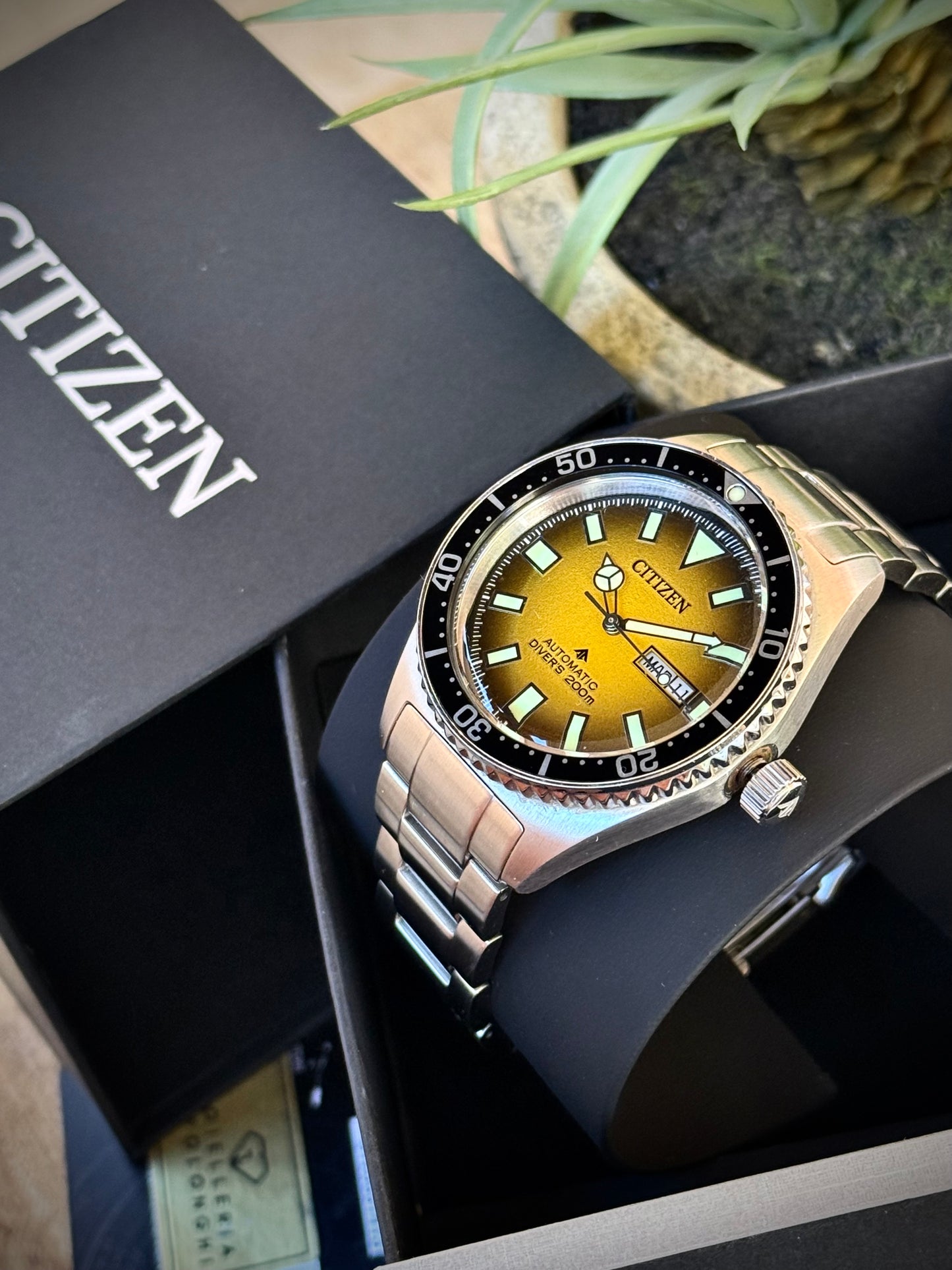 Citizen Promaster