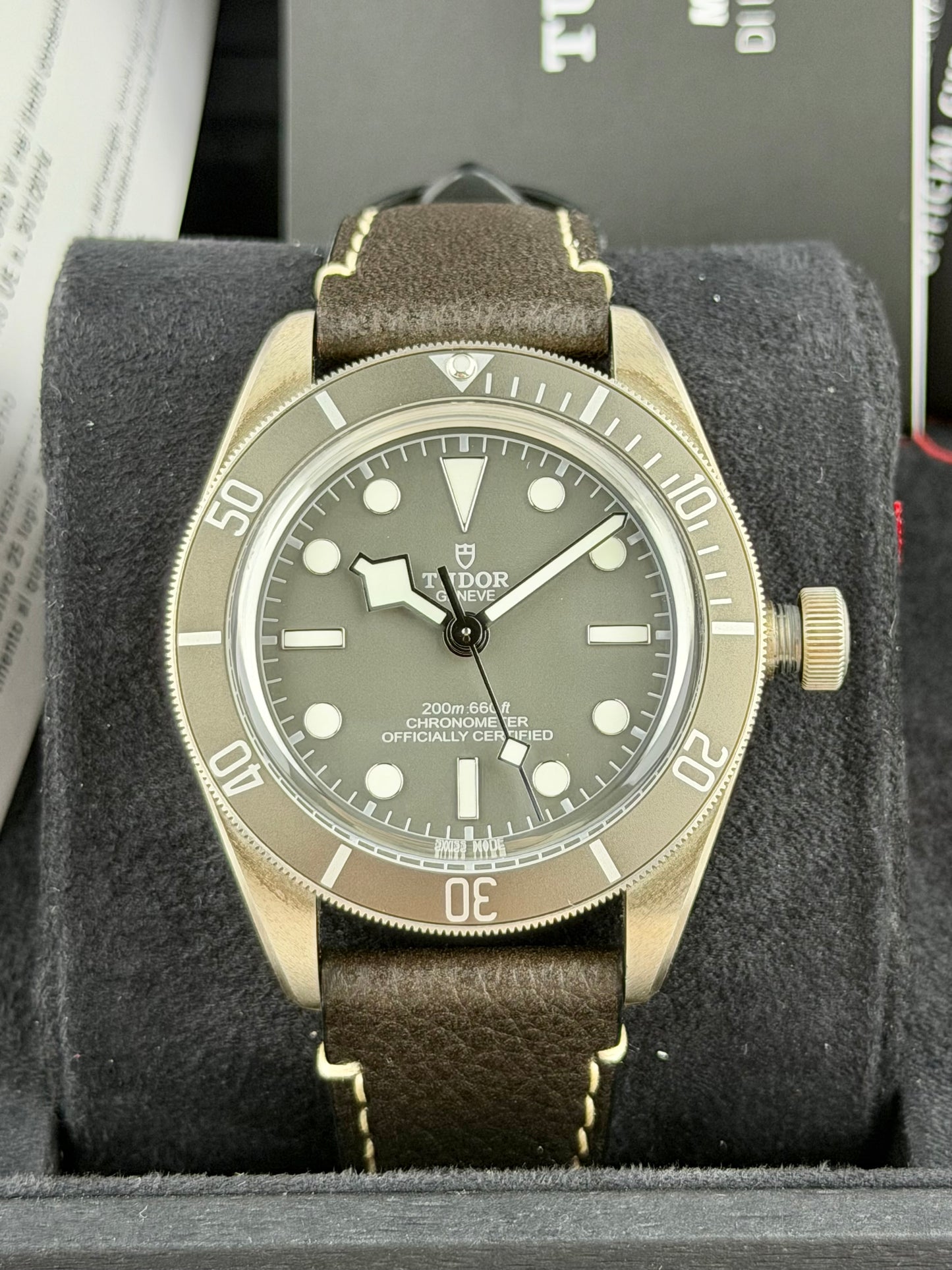 Tudor Black Bay 58 “925”