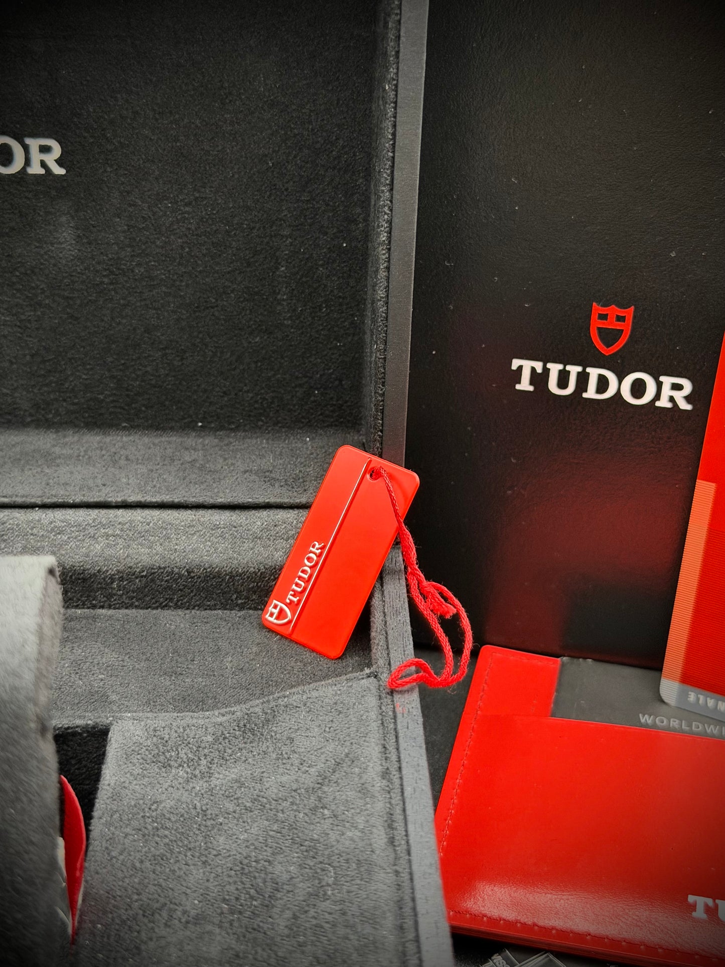 Tudor Pelagos 25500 TN