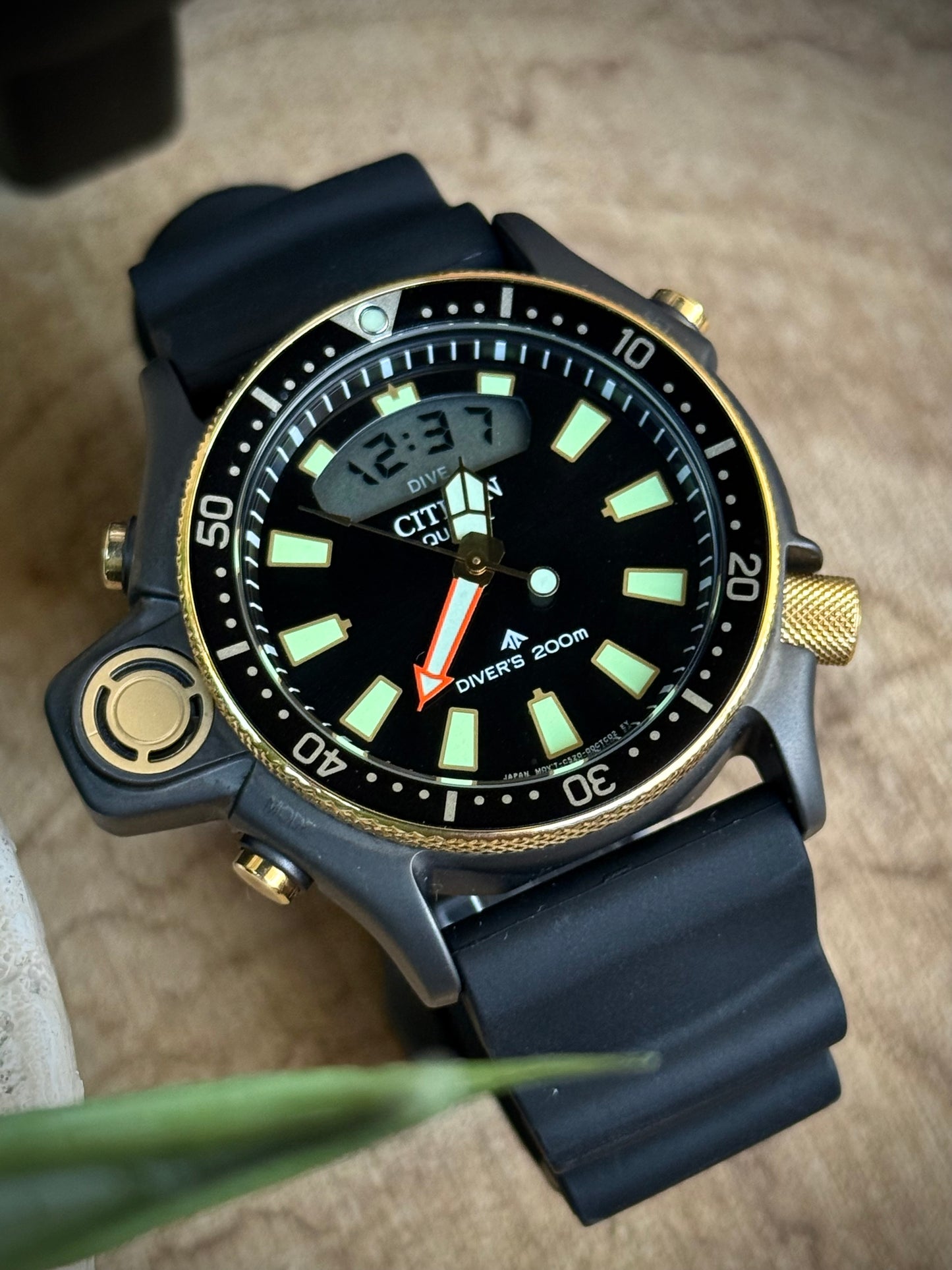 Citizen Aqualand 40th Anniversary