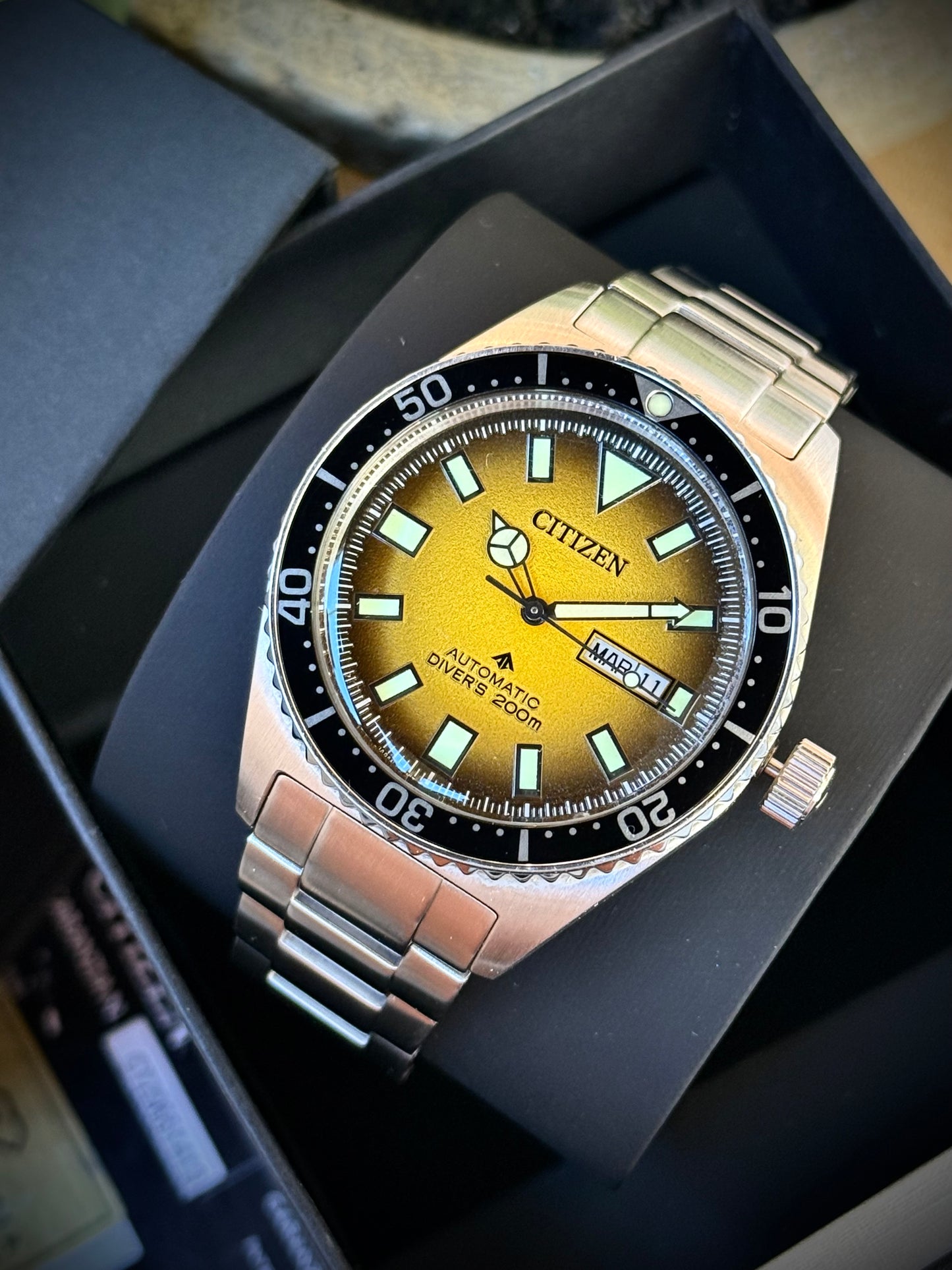 Citizen Promaster
