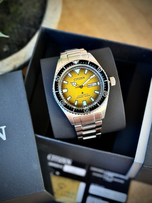 Citizen Promaster