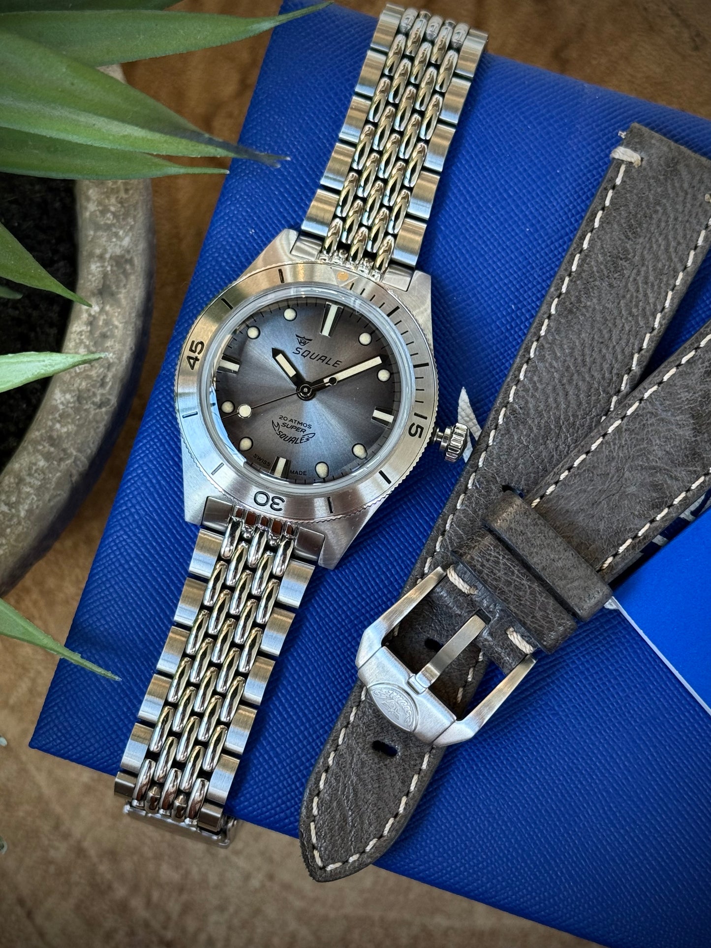 Super Squale Sunray