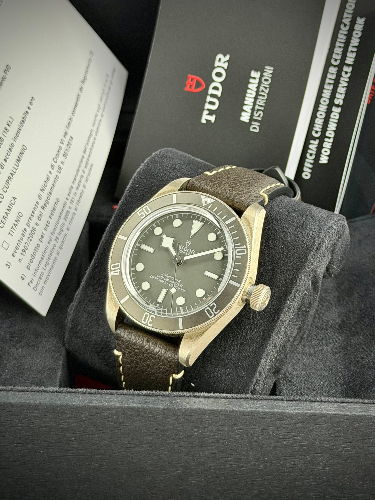 Tudor Black Bay 58 “925”