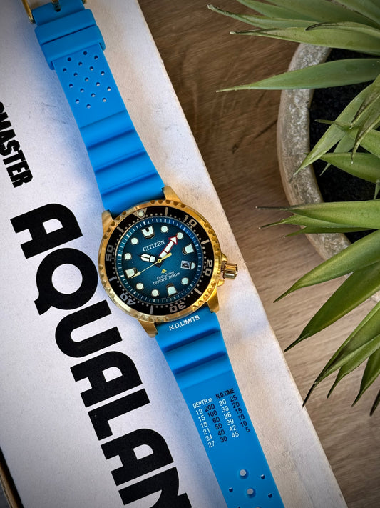 Citizen Promaster