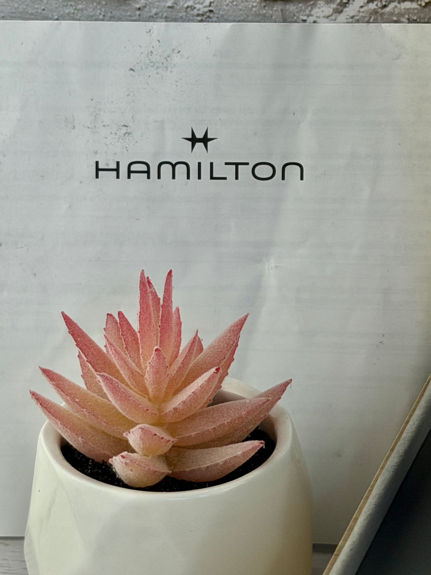 Hamilton Expedition 37 mm