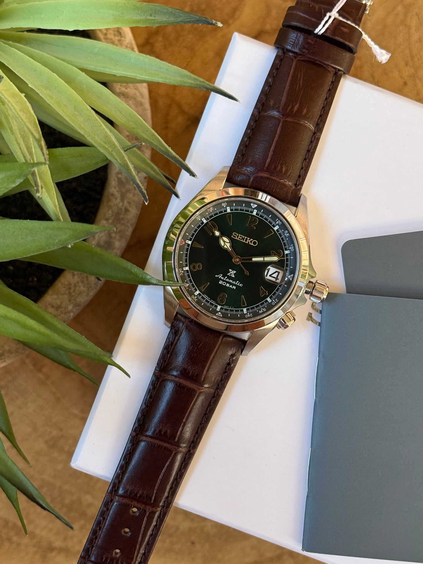 Seiko Alpinist