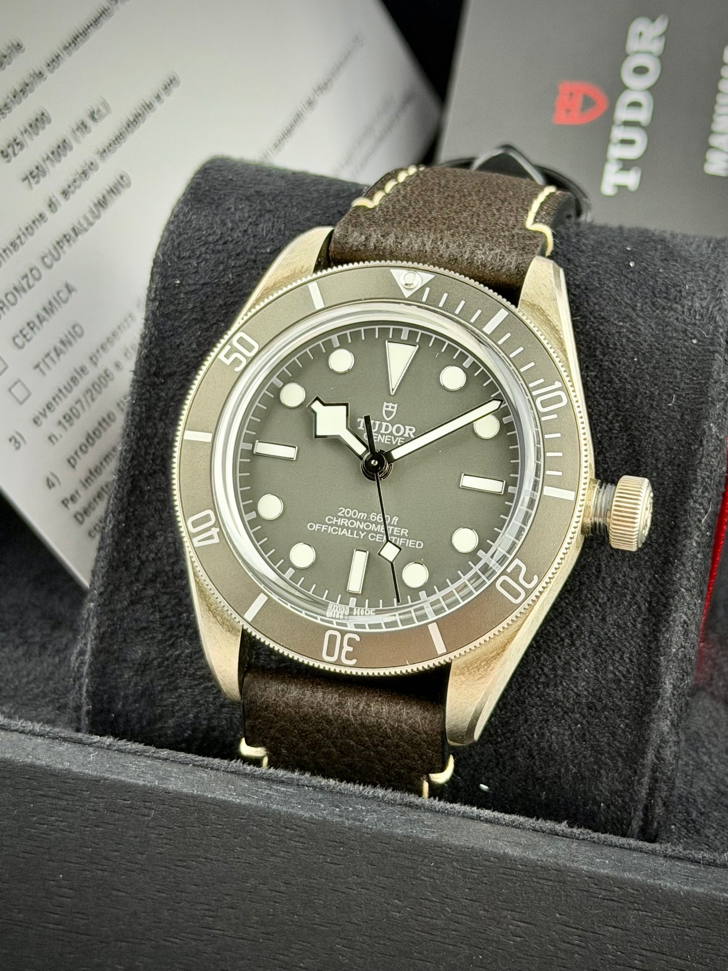 Tudor Black Bay 58 “925”
