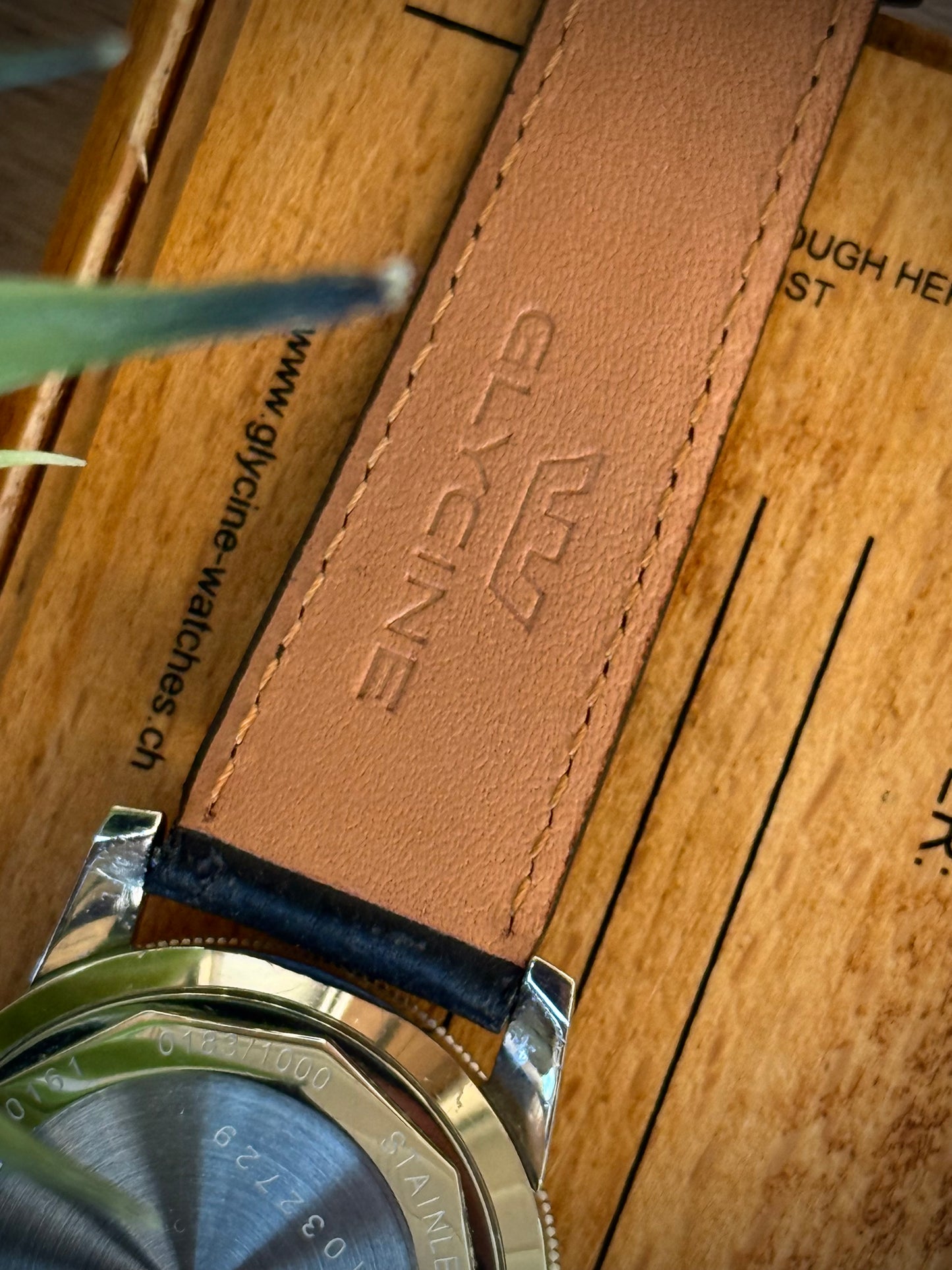 Glycine Airman Purist