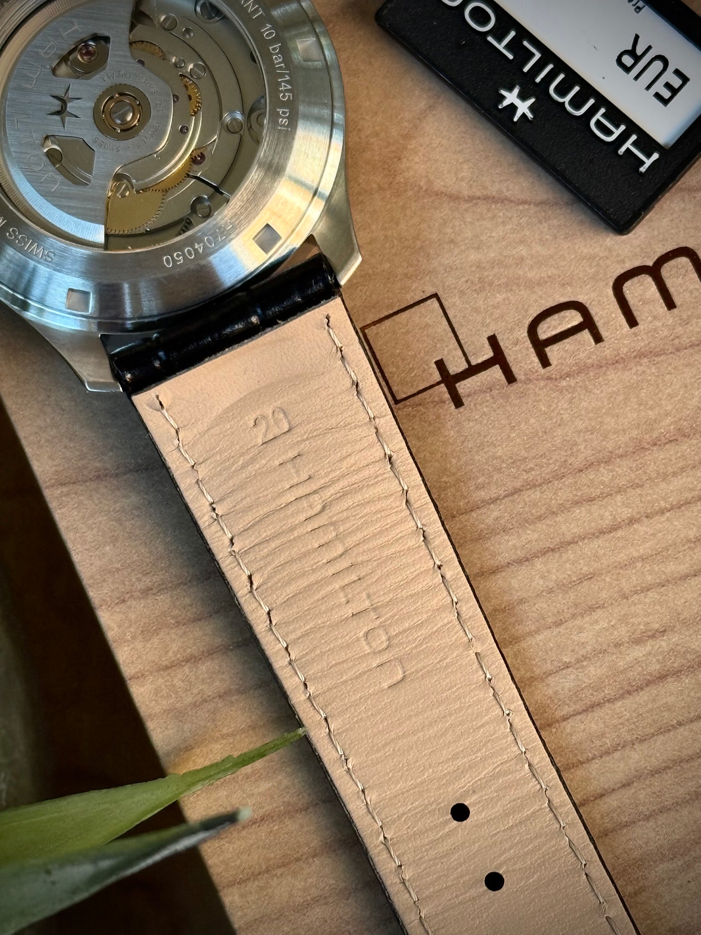 Hamilton Murph White 38mm