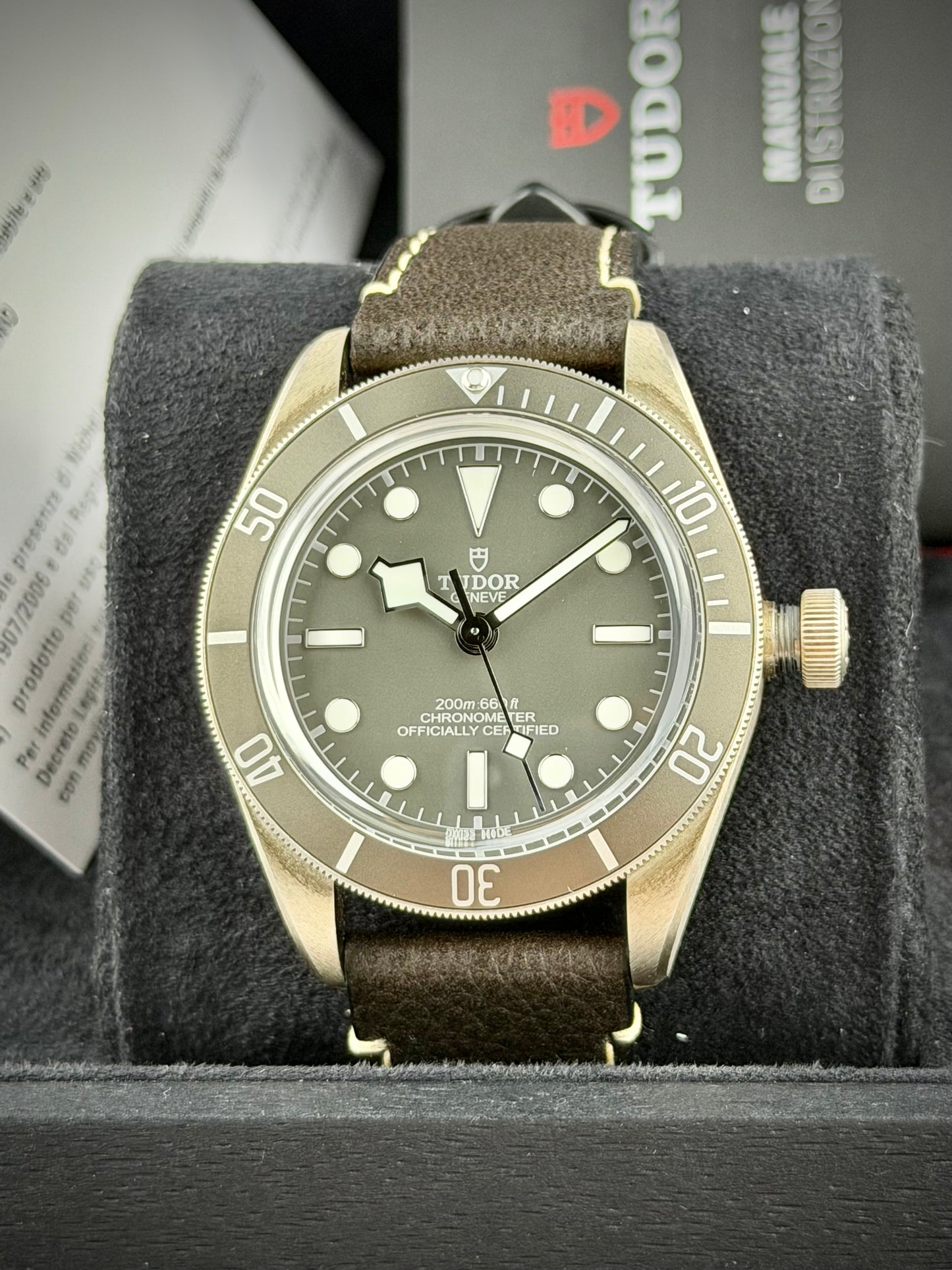 Tudor Black Bay 58 “925”