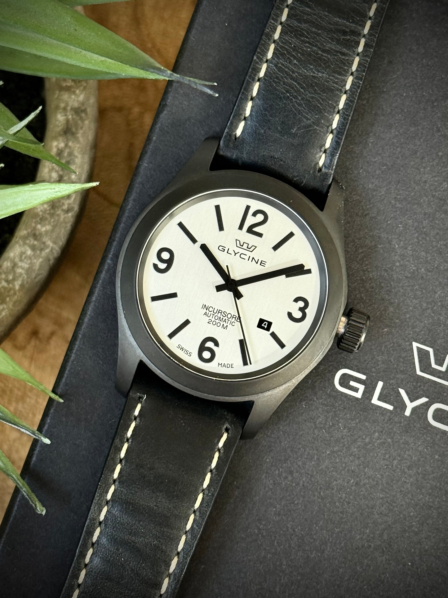 Glycine Incursore PVD